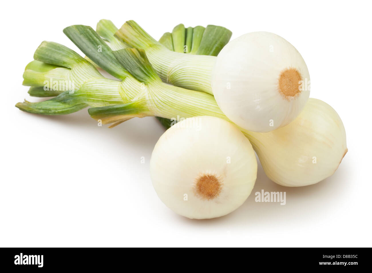 Cipolle gruppo su sfondo bianco Foto Stock