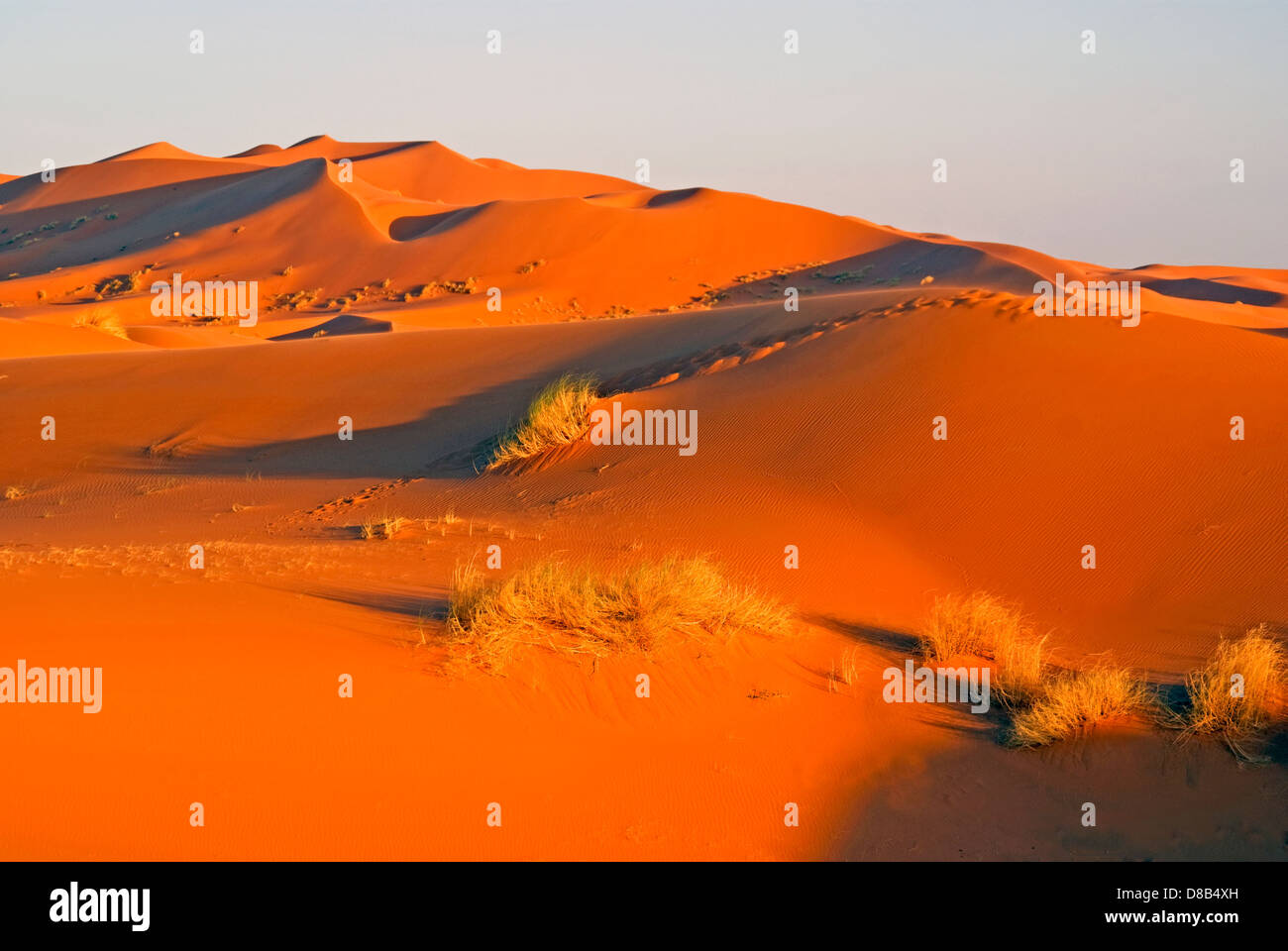 Sahara dune del deserto di Erg Chebbi, Marocco Foto Stock