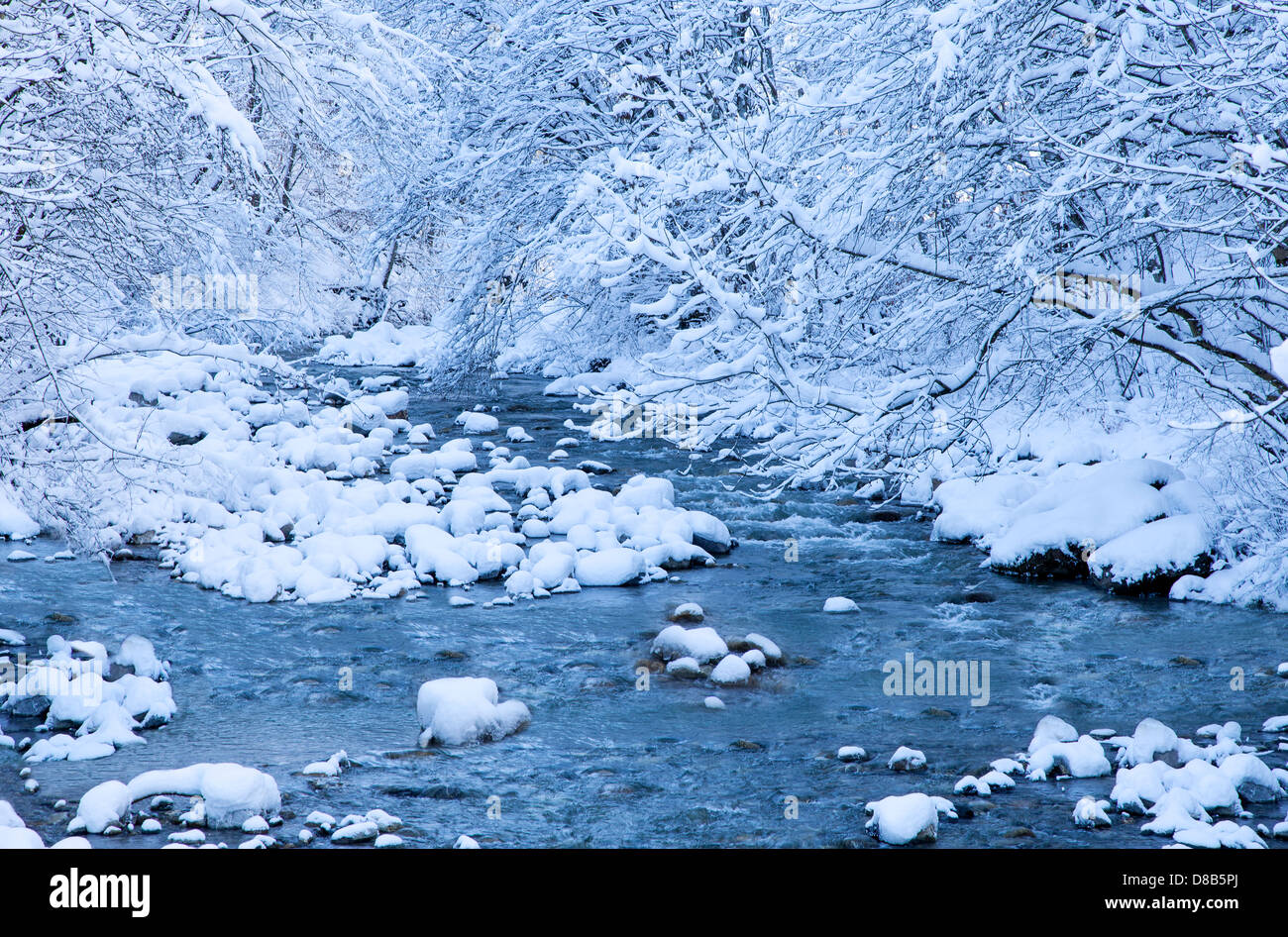 Scena invernale nelle Alpi Foto Stock