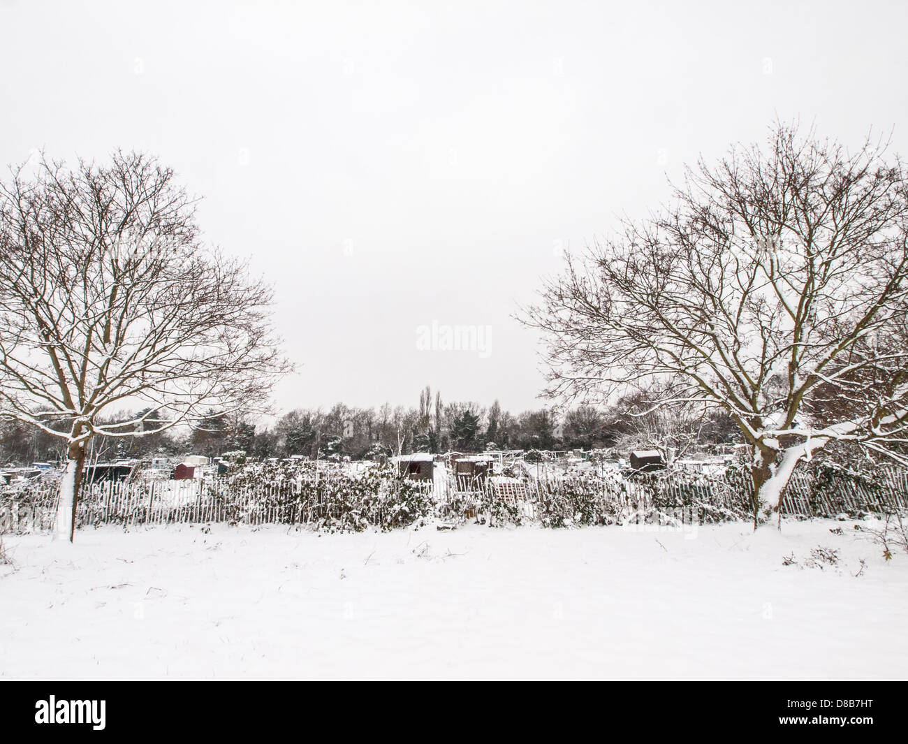 Giardino urbano e sui giardinetti congelati durante alcuni inverno Neve e ghiaccio nel Surrey, Inghilterra Foto Stock