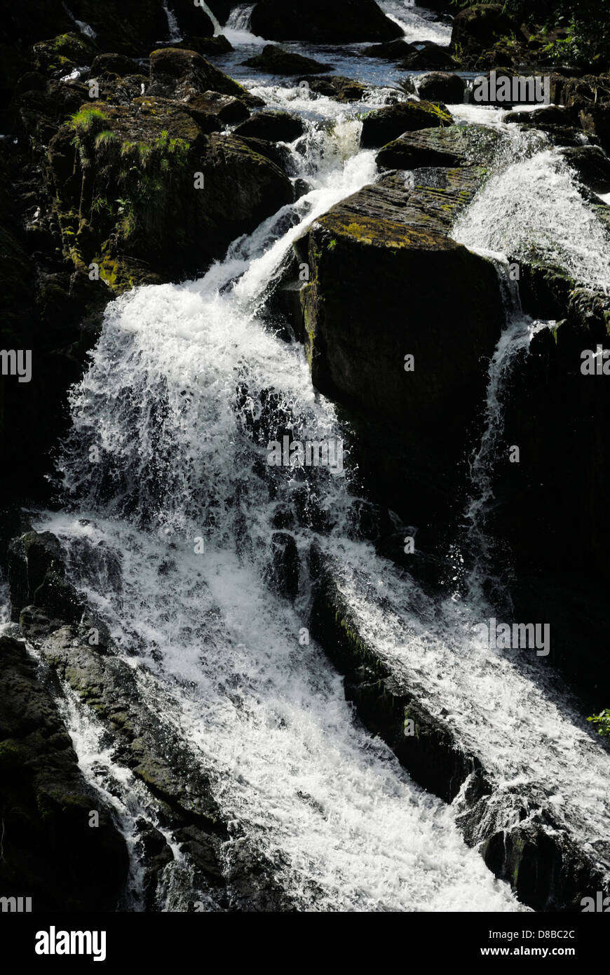 Swallow falls, Rhaeadr Ewynnol, Galles Cymru, Gran Bretagna, Regno Unito Foto Stock