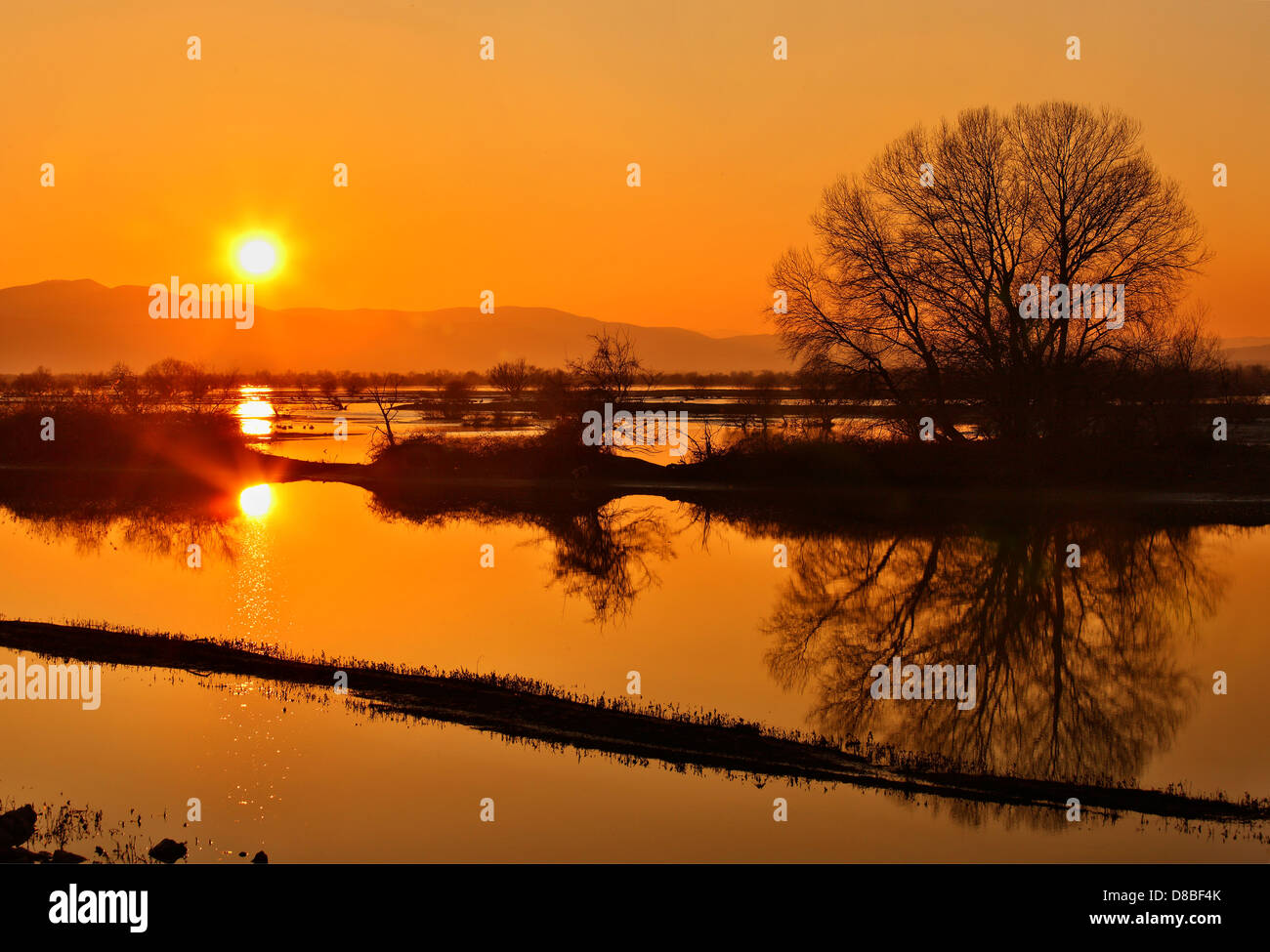 Tramonto sul lago di Kerkini, probabilmente la più importante zona umida e biosfera protetta in tutta la Grecia. Serres, Macedonia. Foto Stock