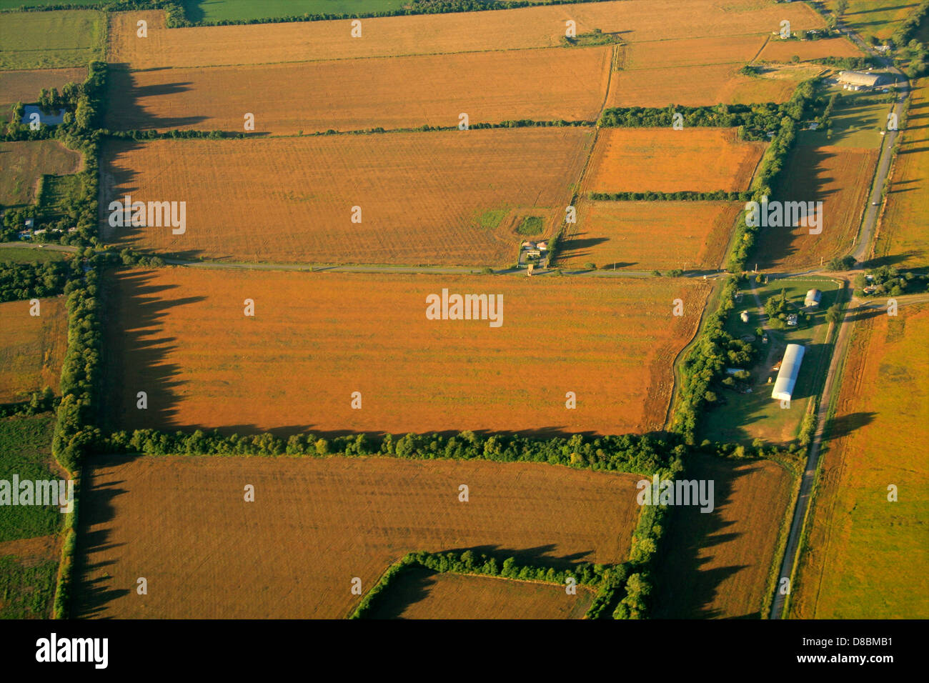 Vista aerea del terreno coltivato con un mosaico di terreni coltivati e raccolti piantati Foto Stock