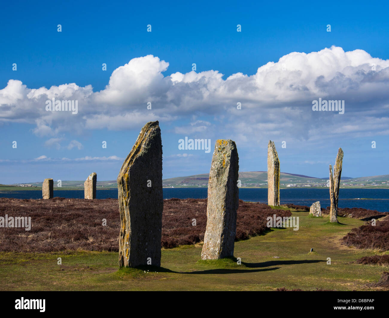 L'anello di Brodgar, neolitico un cerchio di pietra delle Isole Orkney, Scozia Foto Stock