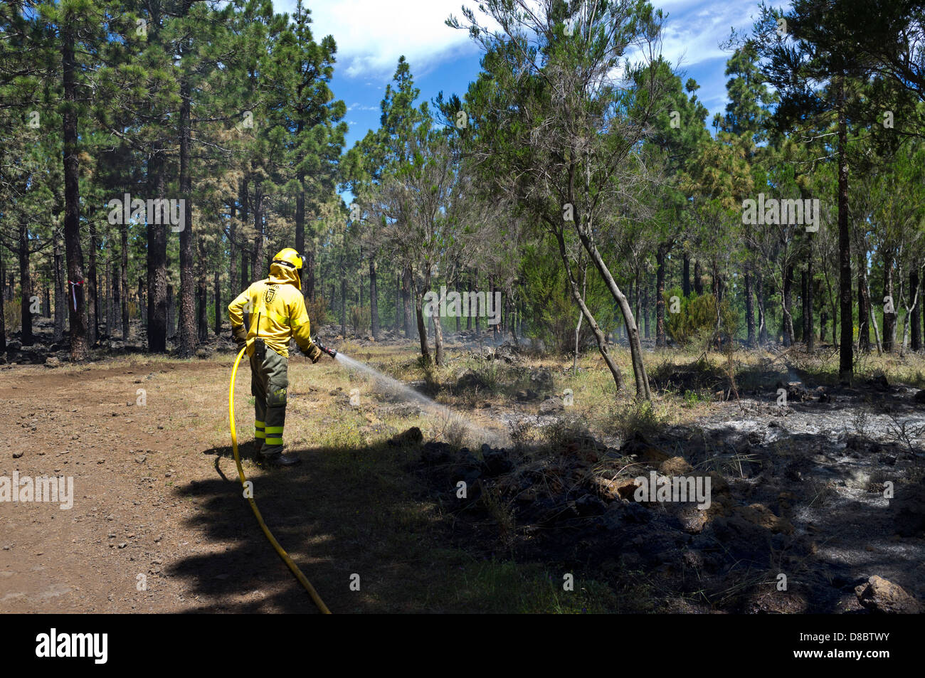 I vigili del fuoco la spruzzatura di acqua durante la combustione controllata di sottobosco in una foresta di pini dalla Brigada Forestal o BRIFOR vicino Erjos Foto Stock