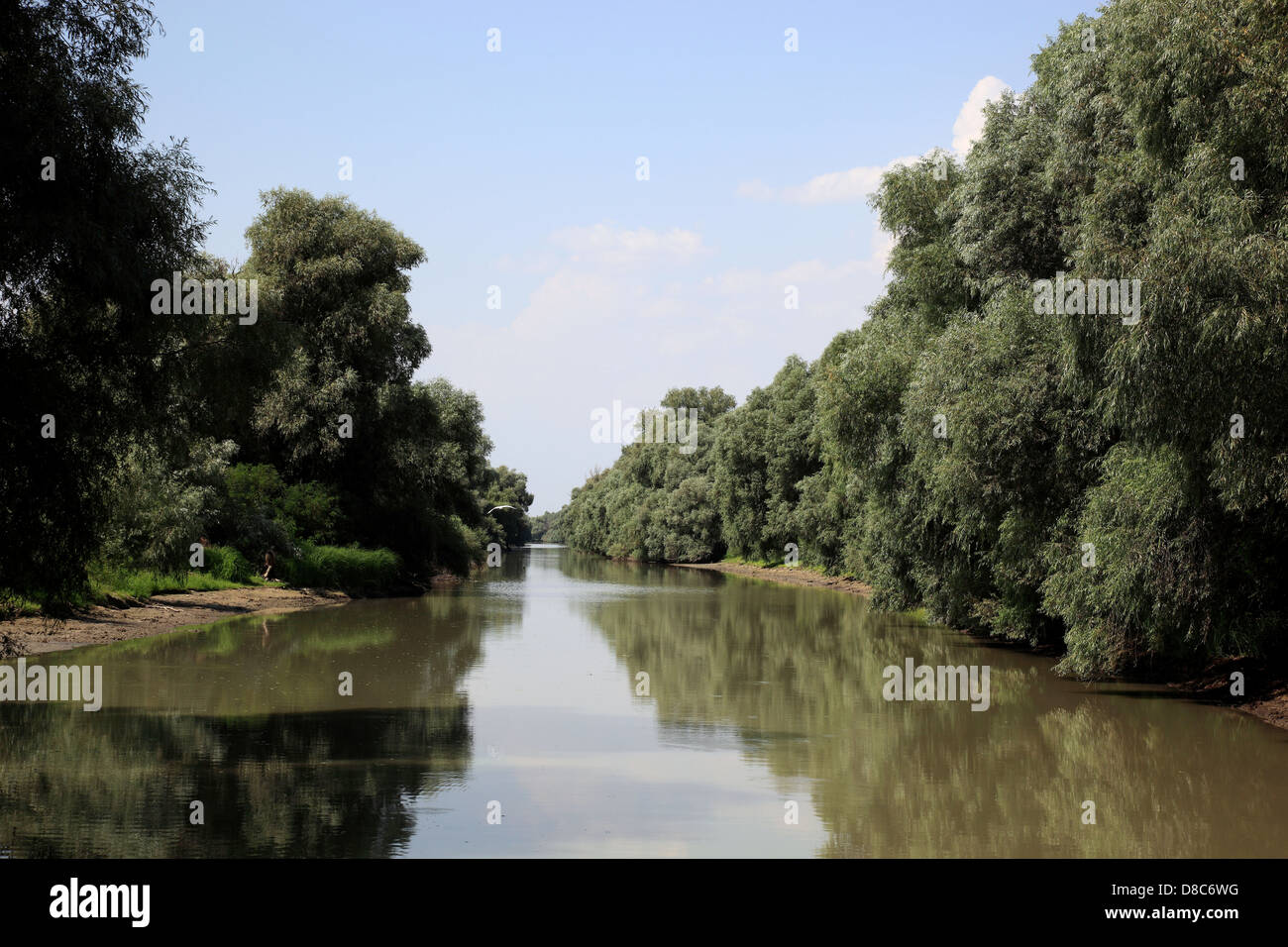 Il Delta del Danubio Riserva della Biosfera, vicino a Tulcea, Romania Foto Stock