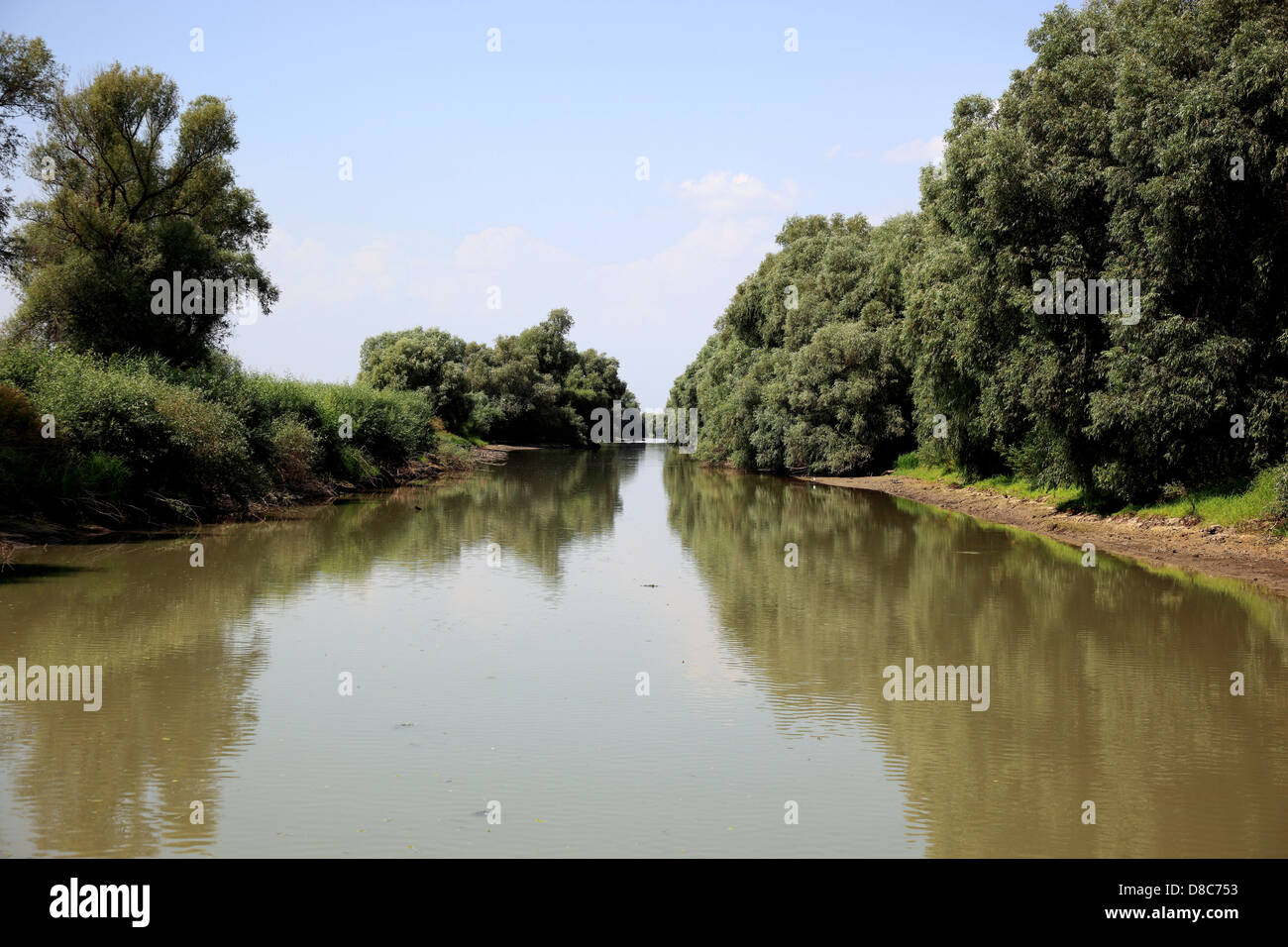 Il Delta del Danubio Riserva della Biosfera, vicino a Tulcea, Romania Foto Stock