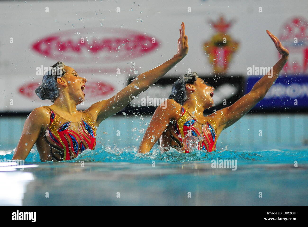 Savona, Italia. Il 24 maggio 2013. Il team di Italia durante il duetto libero preliminari di routine a livello europeo di nuoto sincronizzato Champions Cup dalla piscina comunale Carlo Zanelli. Credit: Azione Plus immagini di Sport / Alamy Live News Foto Stock