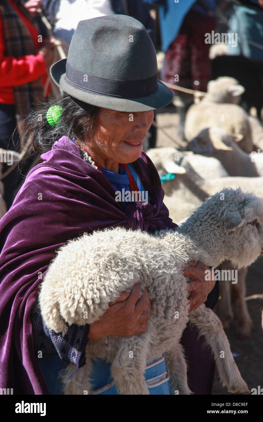 Il quechua donna che porta una pecora su un mercato in Ecuador Foto Stock