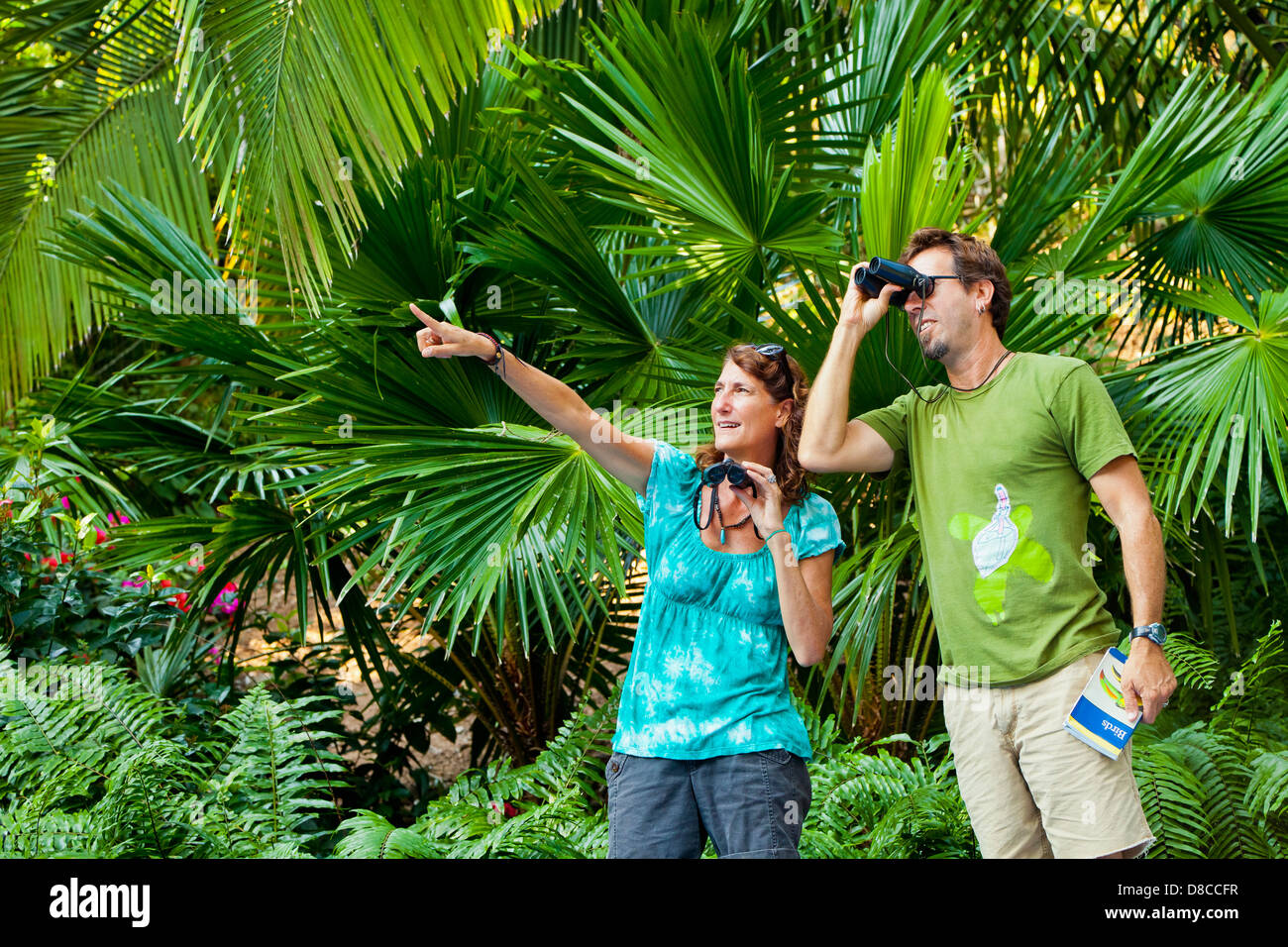 L uomo e la donna per il bird watching nella giungla Foto Stock