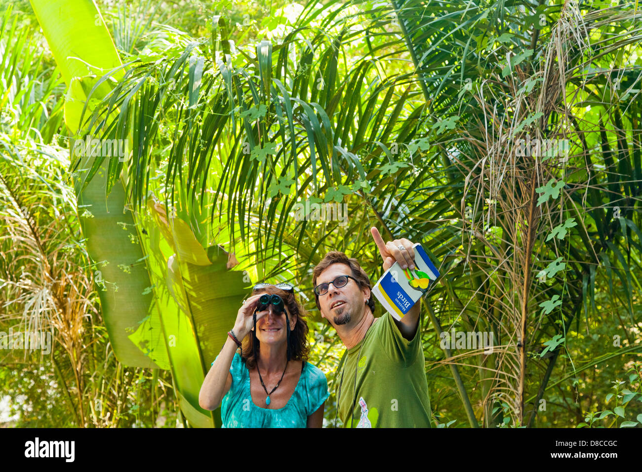 L uomo e la donna per il bird watching nella giungla Foto Stock