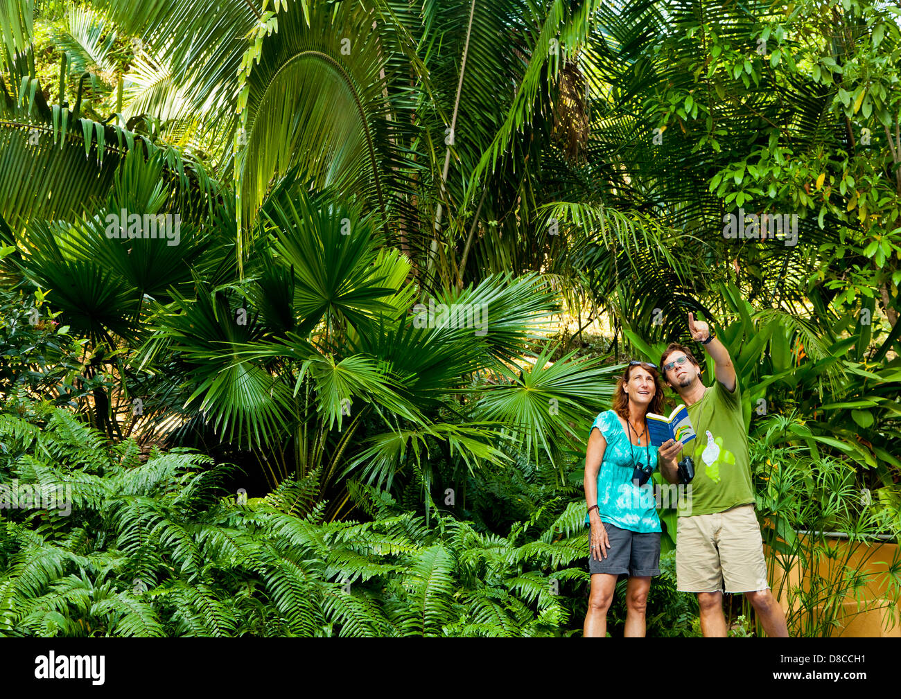 L uomo e la donna per il bird watching nella giungla Foto Stock