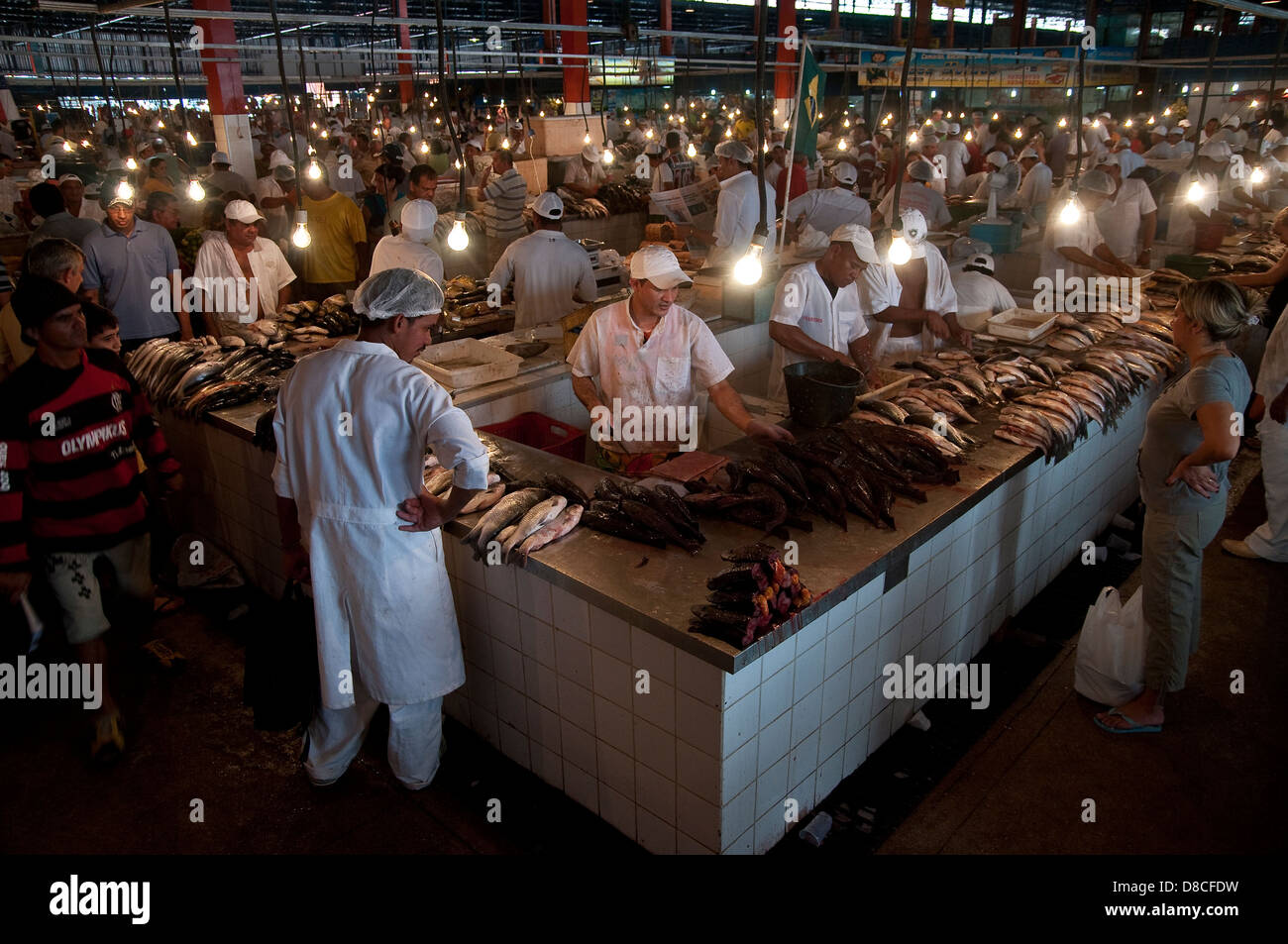 Pesce per vendita a Manaus città mercato ( Mercado Municipal ), Amazon, Brasile. Foto Stock