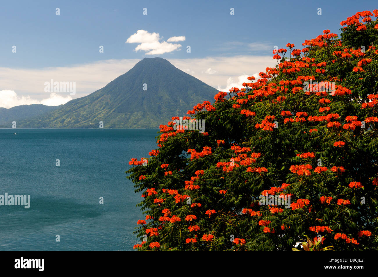 San Pedro Vulcano, lago Atitlan, Panajachel, Solola Reparto, Guatemala. © Kraig Lieb Foto Stock