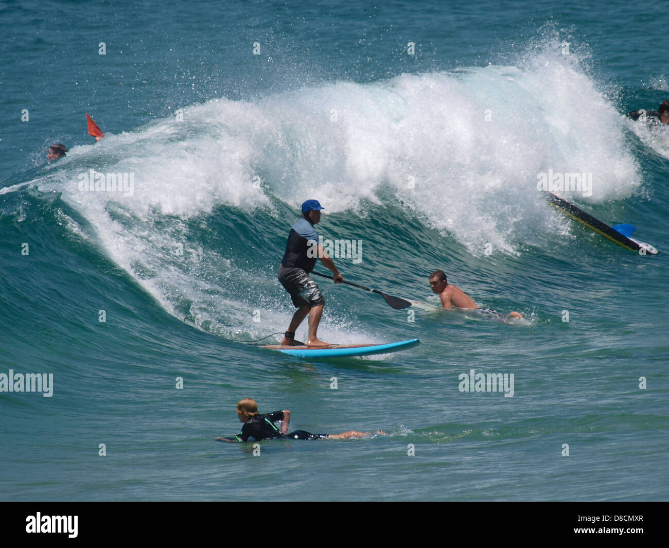 Bordo del surfista e nuotatori newcastle Nuovo Galles del Sud Australia Foto Stock