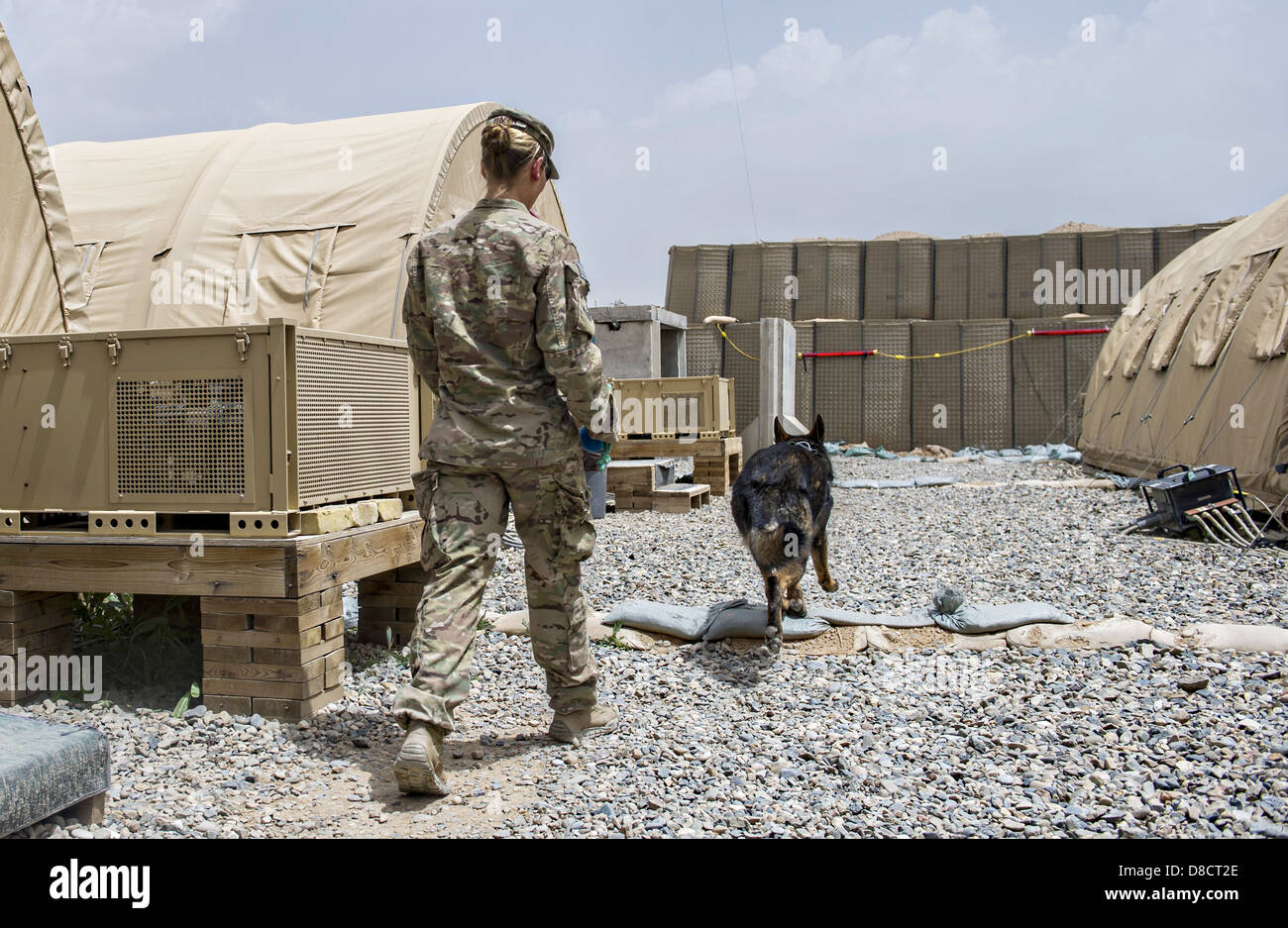 US Air Force Staff Sgt. Jessie Johnson, un militare di cane da lavoro gestore con la terza divisione di fanteria e il suo cane, Chrach durante il rilevamento di esplosivi di formazione a inoltrare una base operativa Pasab Aprile 24, 2013 in provincia di Kandahar, Afghanistan. Foto Stock