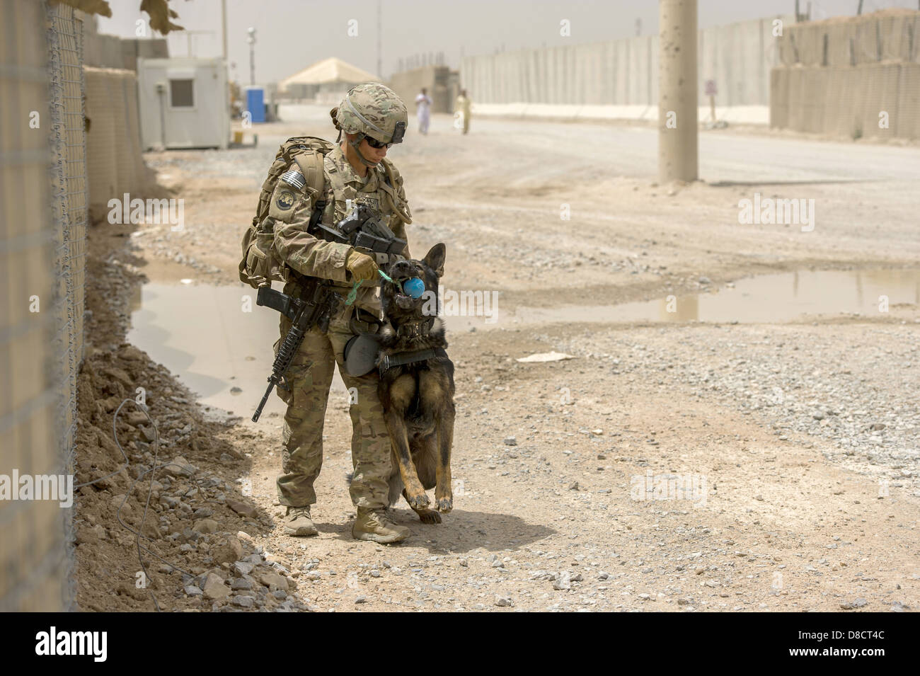 US Air Force Staff Sgt. Jessie Johnson, un militare di cane da lavoro gestore con la terza divisione di fanteria e il suo cane, Chrach durante il rilevamento di esplosivi di formazione a inoltrare una base operativa Pasab Aprile 24, 2013 in provincia di Kandahar, Afghanistan. Foto Stock