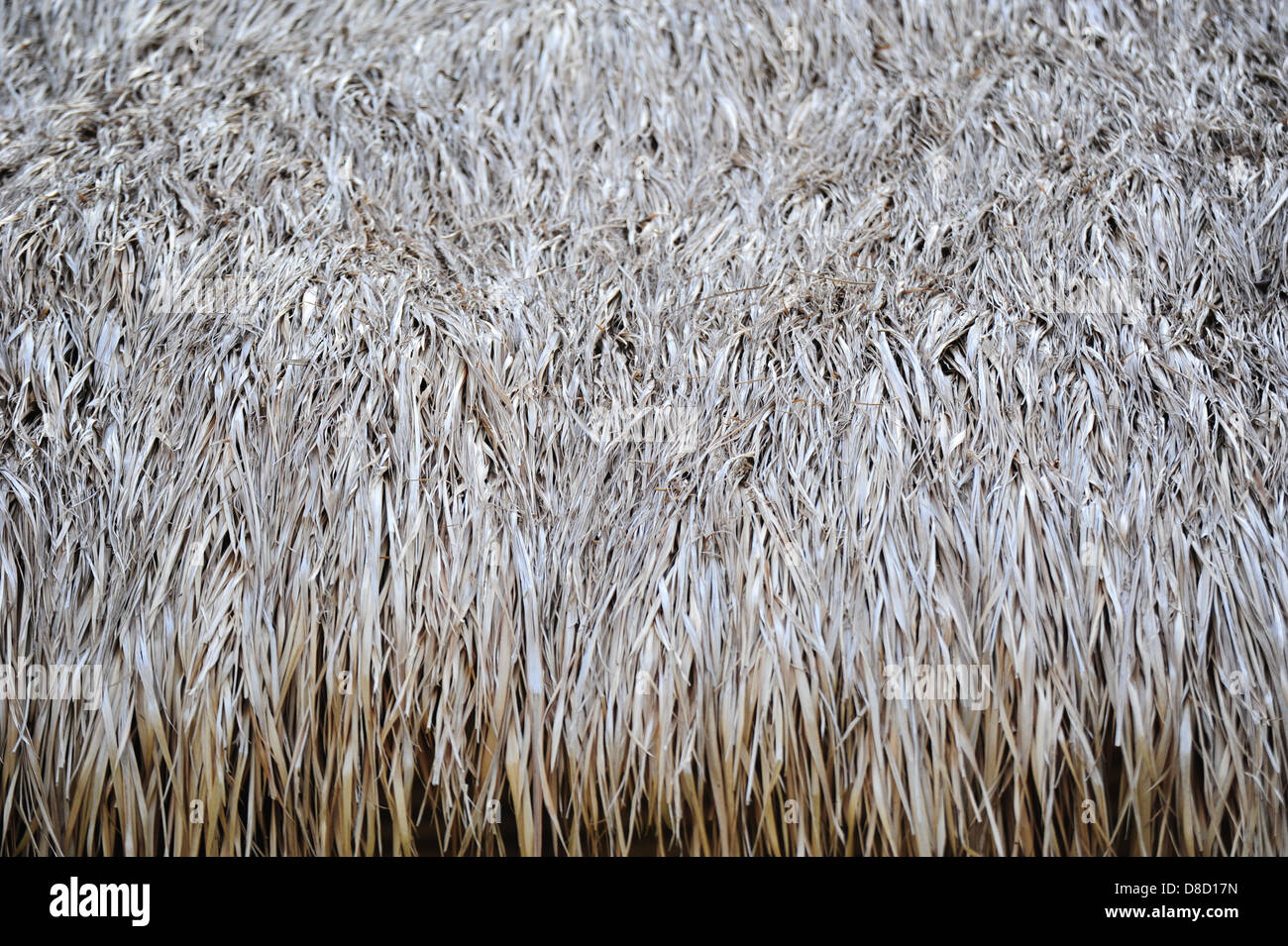 Tetto in erba Foto Stock