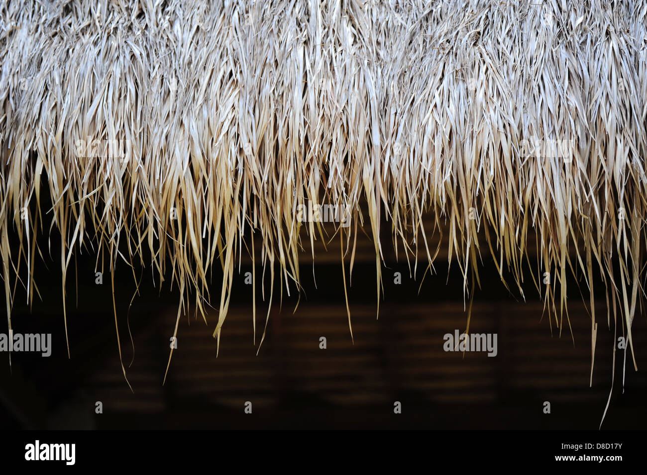 Tetto in erba Foto Stock