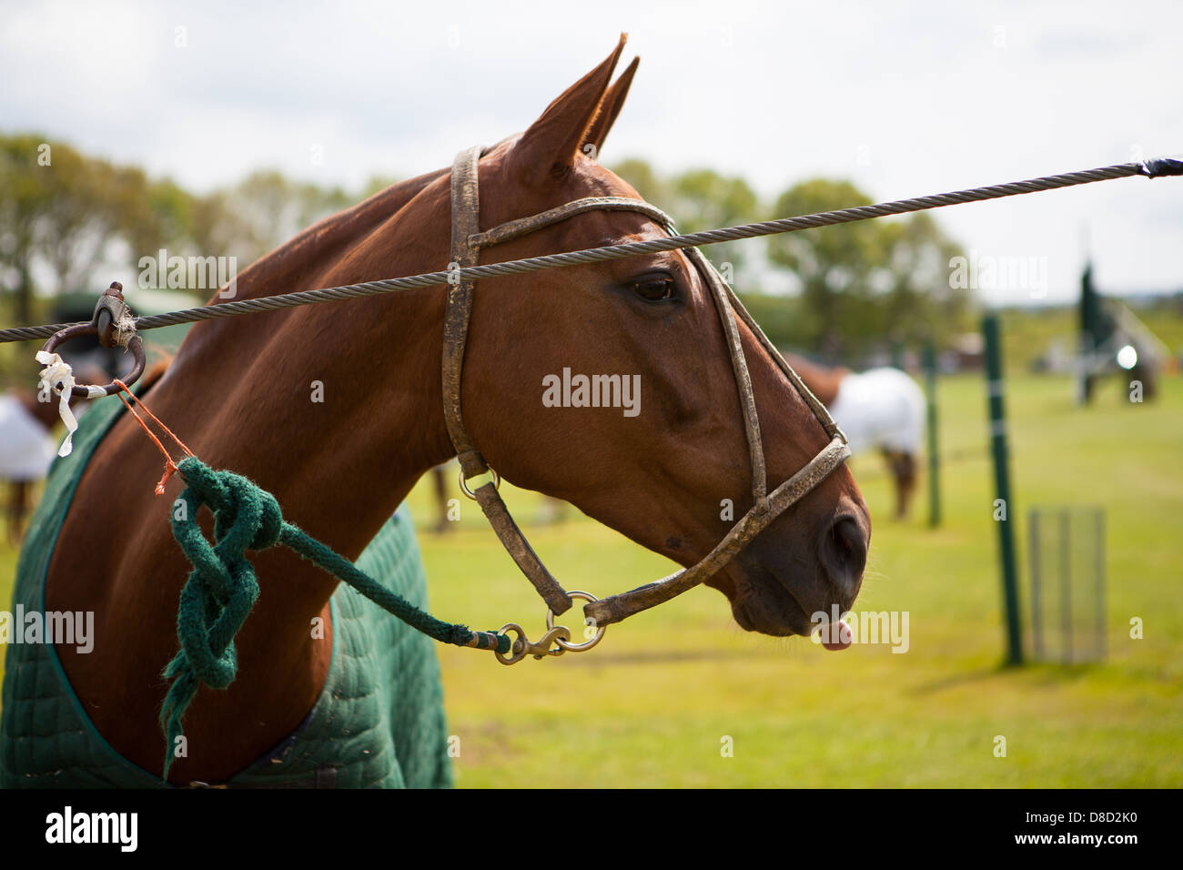 Cowdray Park Polo Club Match, West Sussex, - Inghilterra v USA nel quinto St Regis International Cup 2013 Foto Stock