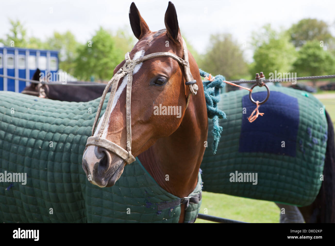 Cowdray Park Polo Club Match, West Sussex, - Inghilterra v USA nel quinto St Regis International Cup 2013 Foto Stock