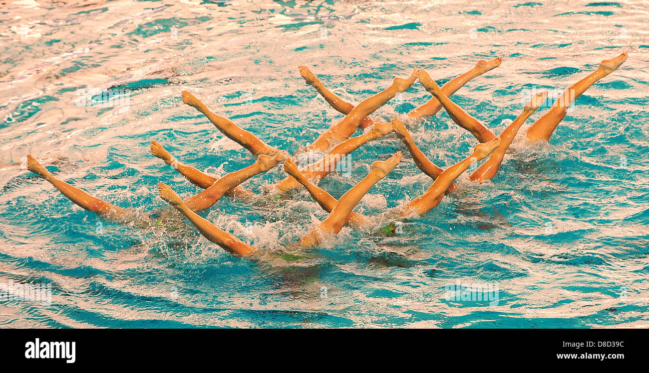 25.05.2013 Savona, Italia. Il team dell'Ucraina durante il Team libero preliminari di routine a livello europeo di nuoto sincronizzato Champions Cup dalla piscina comunale Carlo Zanelli. Foto Stock