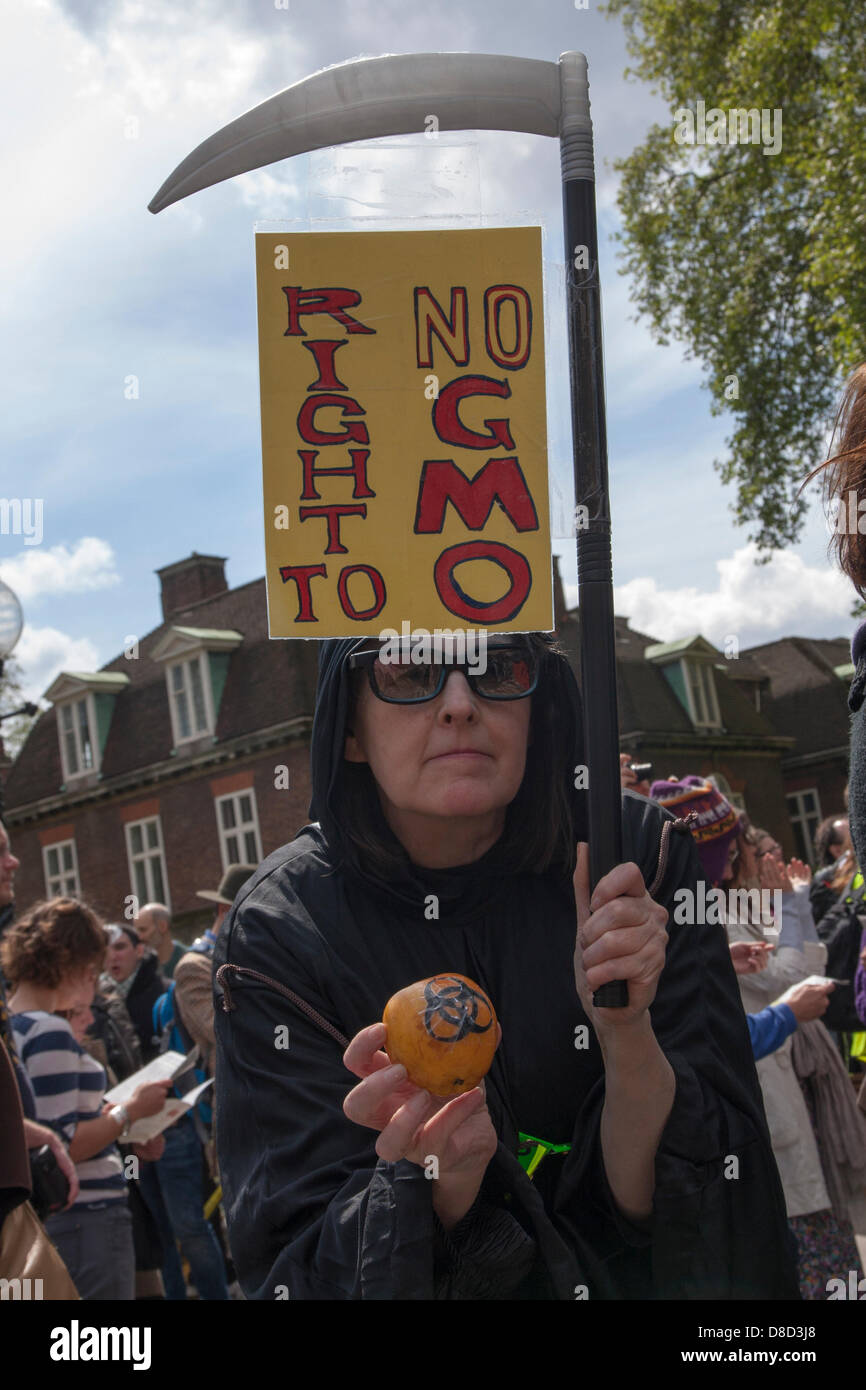 2013-05-25 Westminster, Londra.una donna vestita come Grim Reaper pone per le immagini come centinaia di manifestare contro il raccolto di sementi Monsanto gigante. Foto Stock