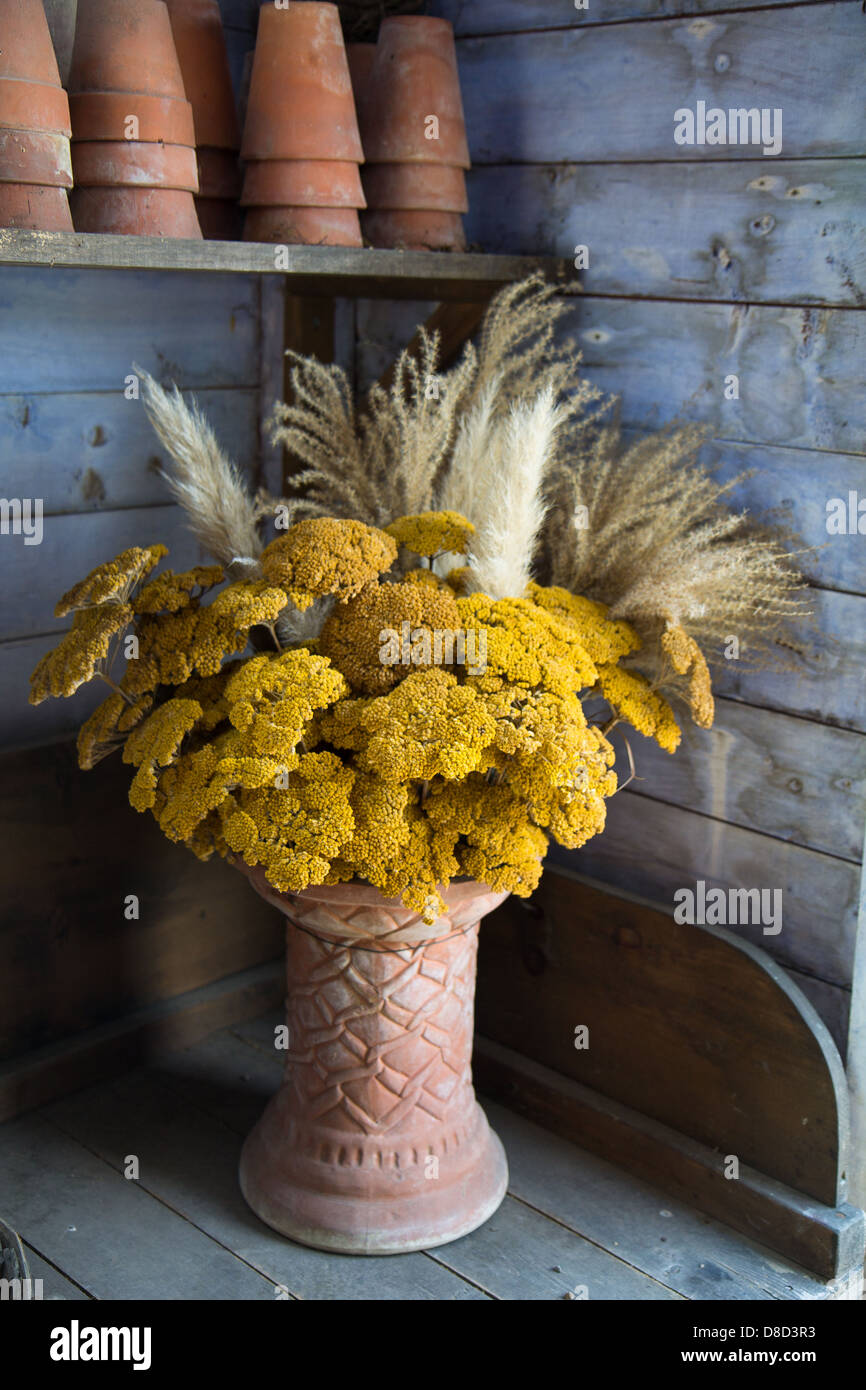 Fiori gialli d'epoca in vaso di terracotta in una baraccetta di legno Foto Stock