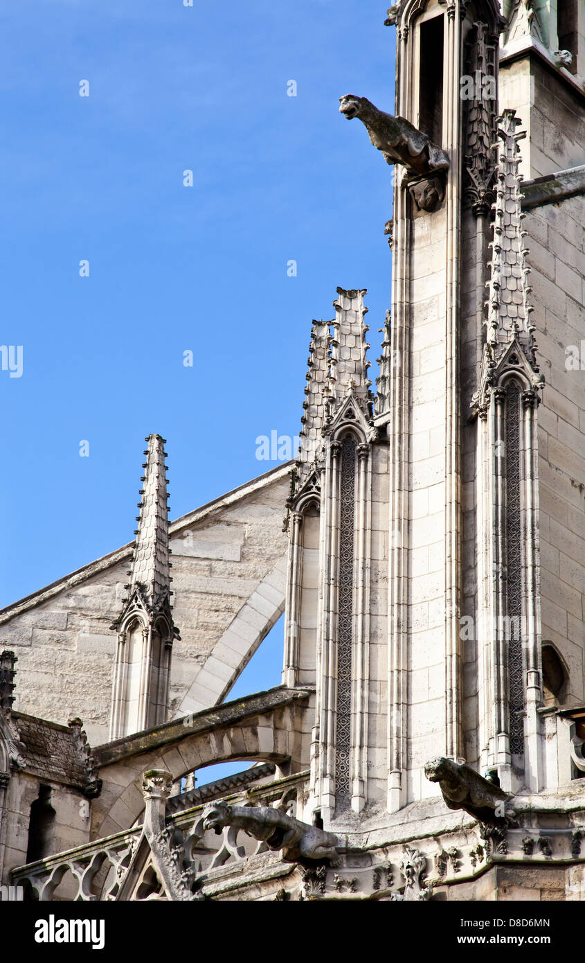 Dettaglio della cattedrale gotica di Notre Dame a Parigi Foto Stock