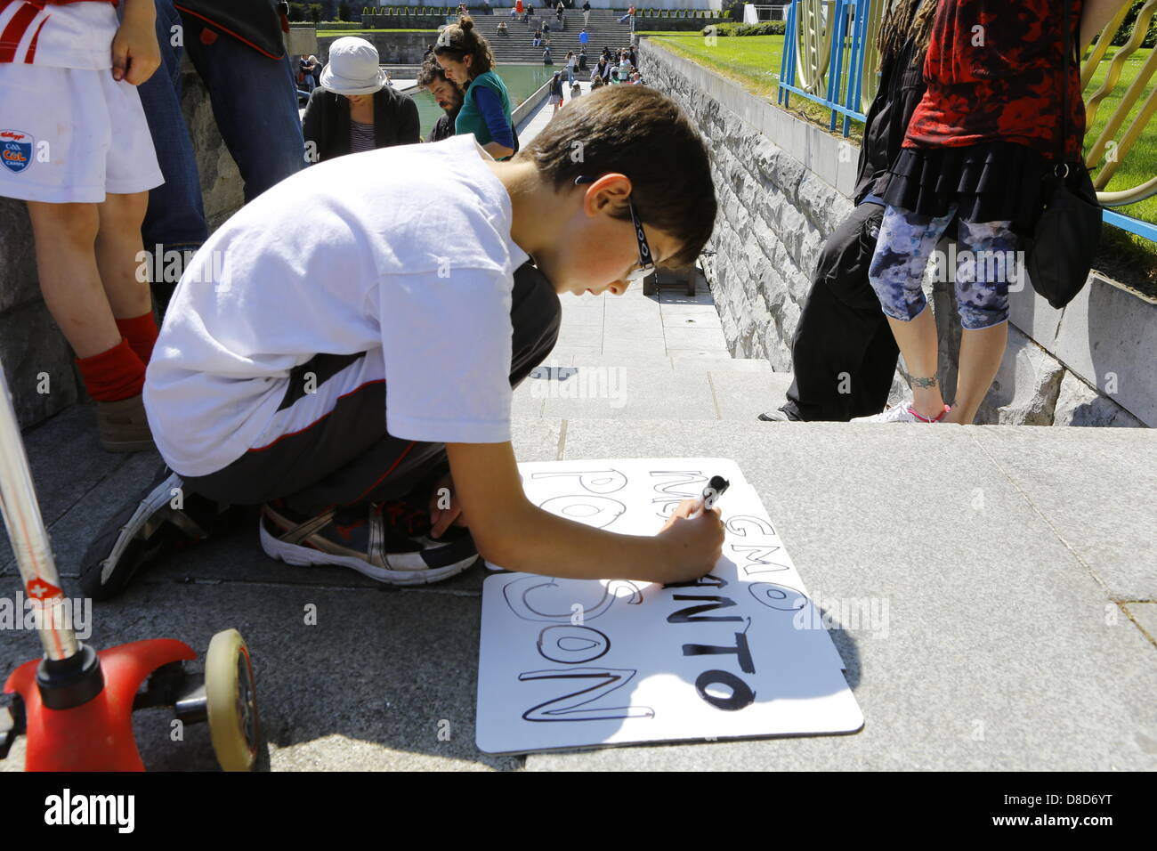 Dublino, Irlanda. Il 25 maggio 2013. Un ragazzo crea un suo striscione prima di 'Marco contro Monsanto'. Centinaia di persone si è rivelato per la 'Marco contro Monsanto' a Dublino dal Giardino della Rimembranza al dipartimento dell'agricoltura. La protesta è parte di una giornata internazionale di protesta contro l'azienda agricola la Monsanto e le sue pratiche di business come pure contro gli alimenti geneticamente modificati. Credito: Michael Debets/Alamy Live News Foto Stock