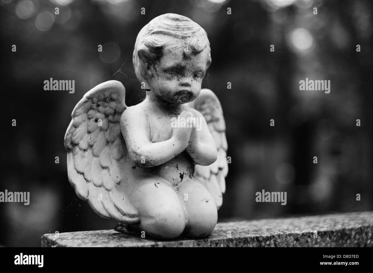 Statua di un angelo sul cimitero di Praga Foto Stock