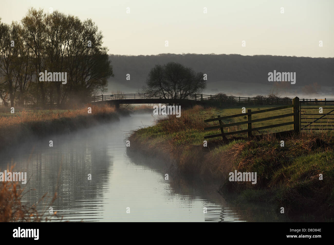 Early Morning mist su livelli di Somerset Foto Stock