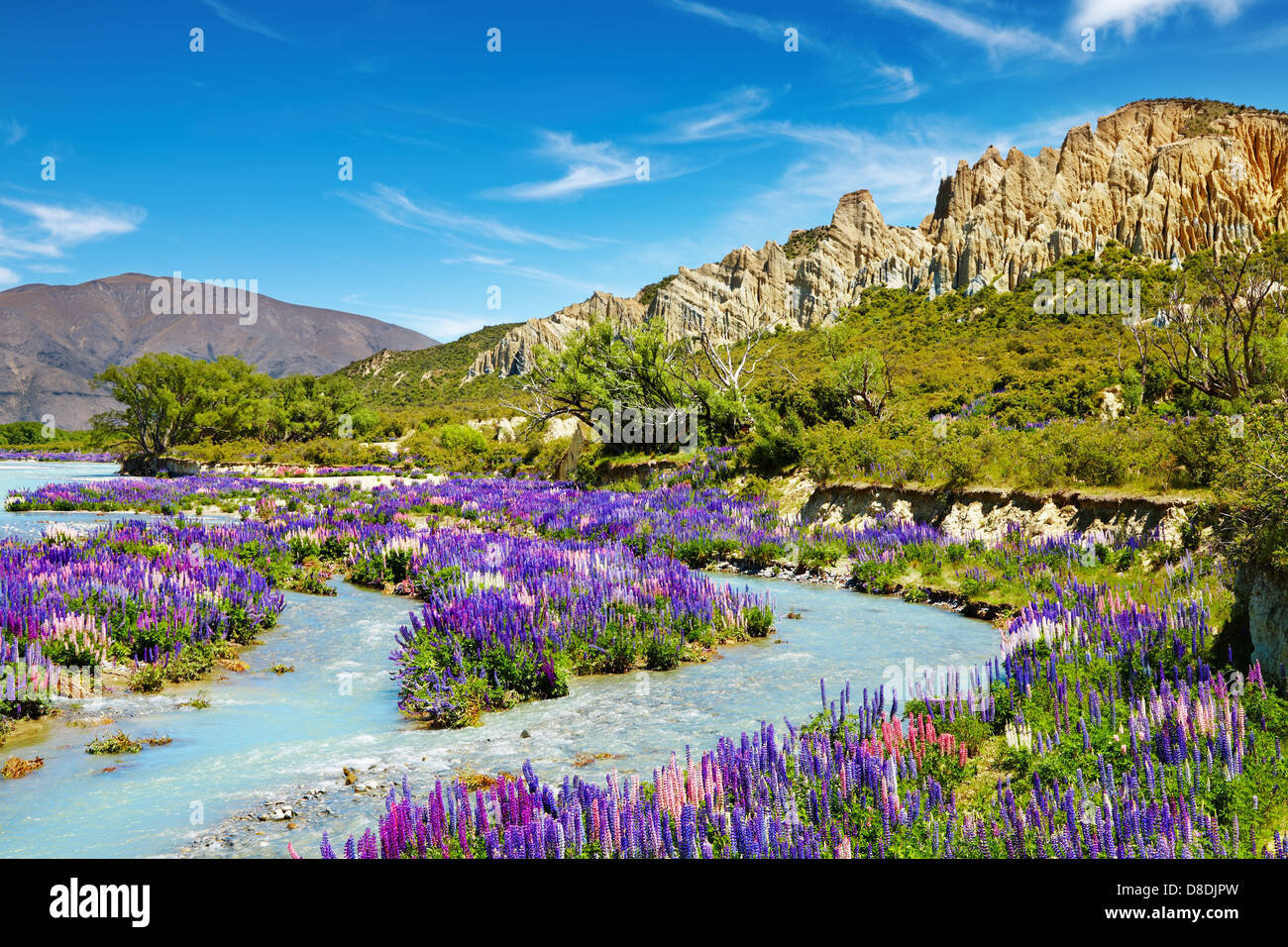 Paesaggio con fiori colorati, scogliere di argilla, Nuova Zelanda Foto Stock