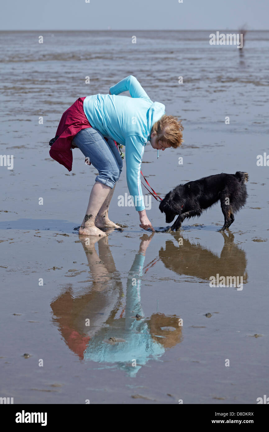 Una donna e il suo cane in velme vicino a Duhnen, Cuxhaven, Schleswig-Holstein, Germania Foto Stock