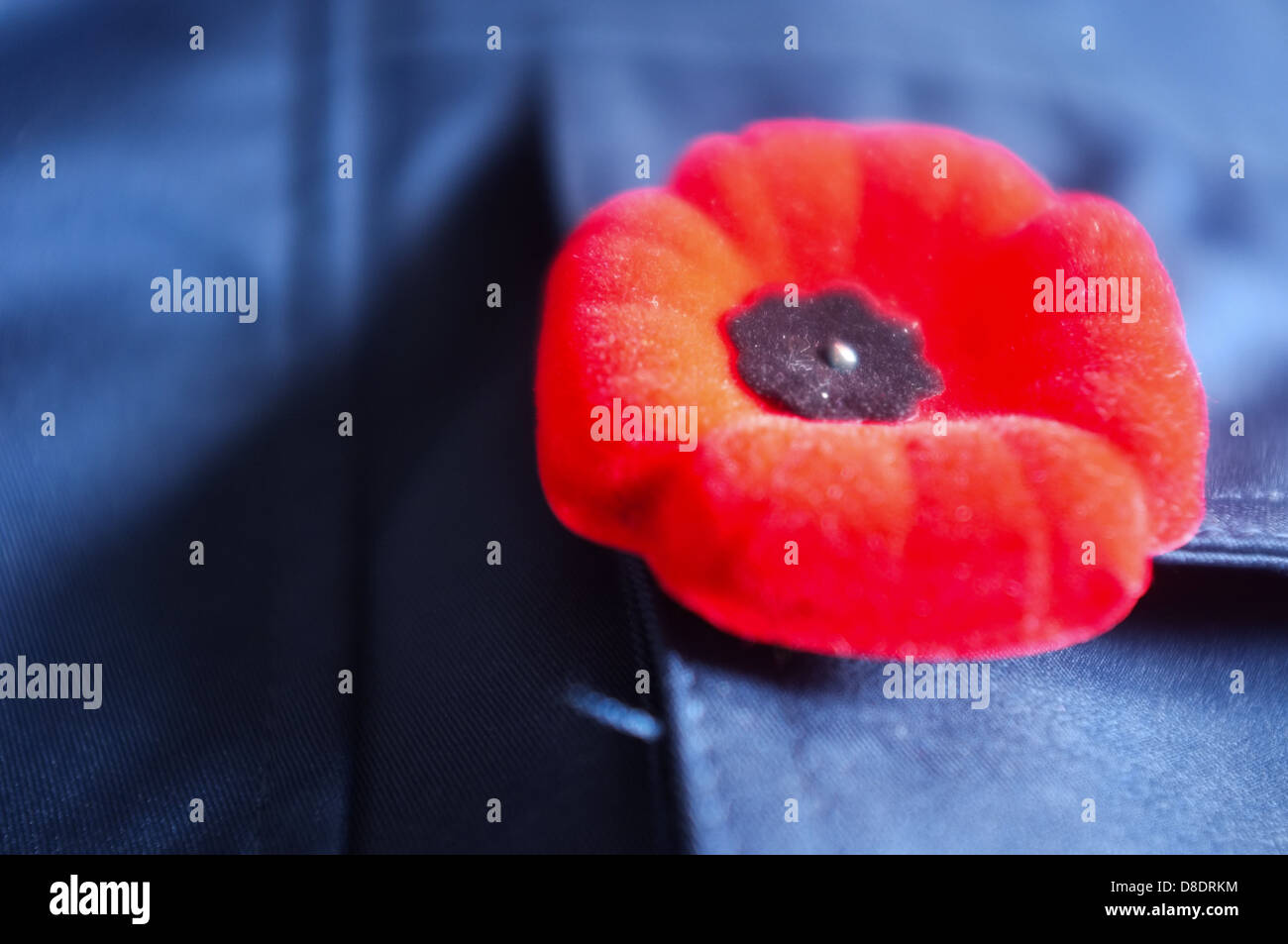 Il ricordo di papavero è stato utilizzato fin dal 1920 per commemorare i soldati che sono morti in guerra. Foto Stock