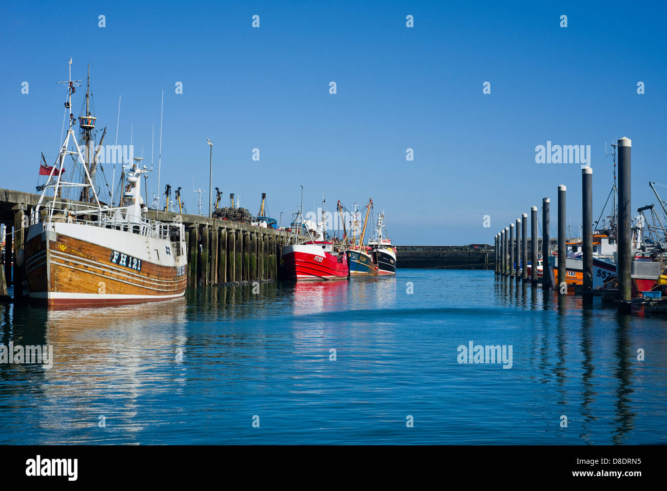 Barche da pesca nel Porto di Newlyn, Cornwall, Regno Unito Foto Stock