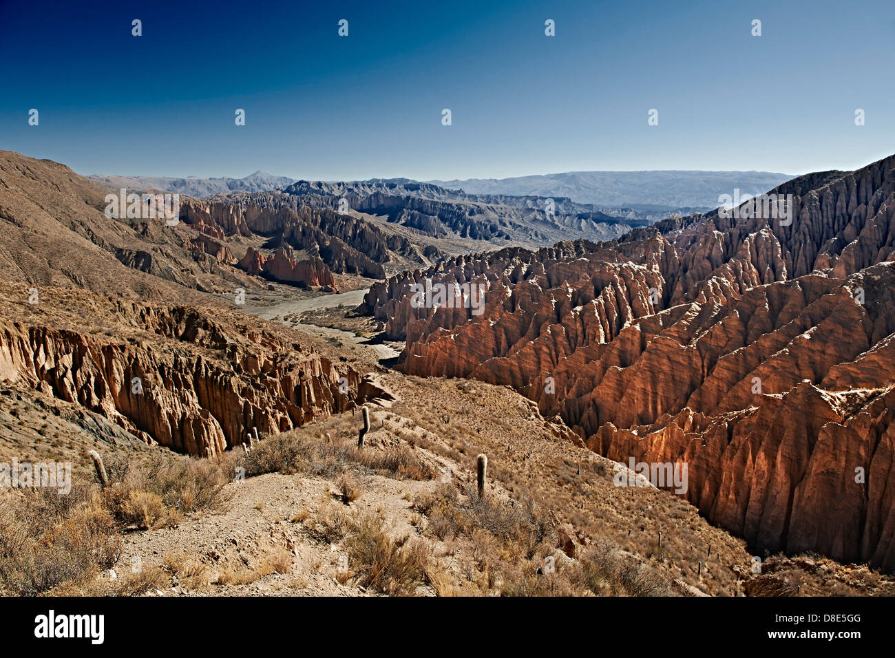 Paesaggio di erosione vicino a Tupiza, Bolivia Foto Stock