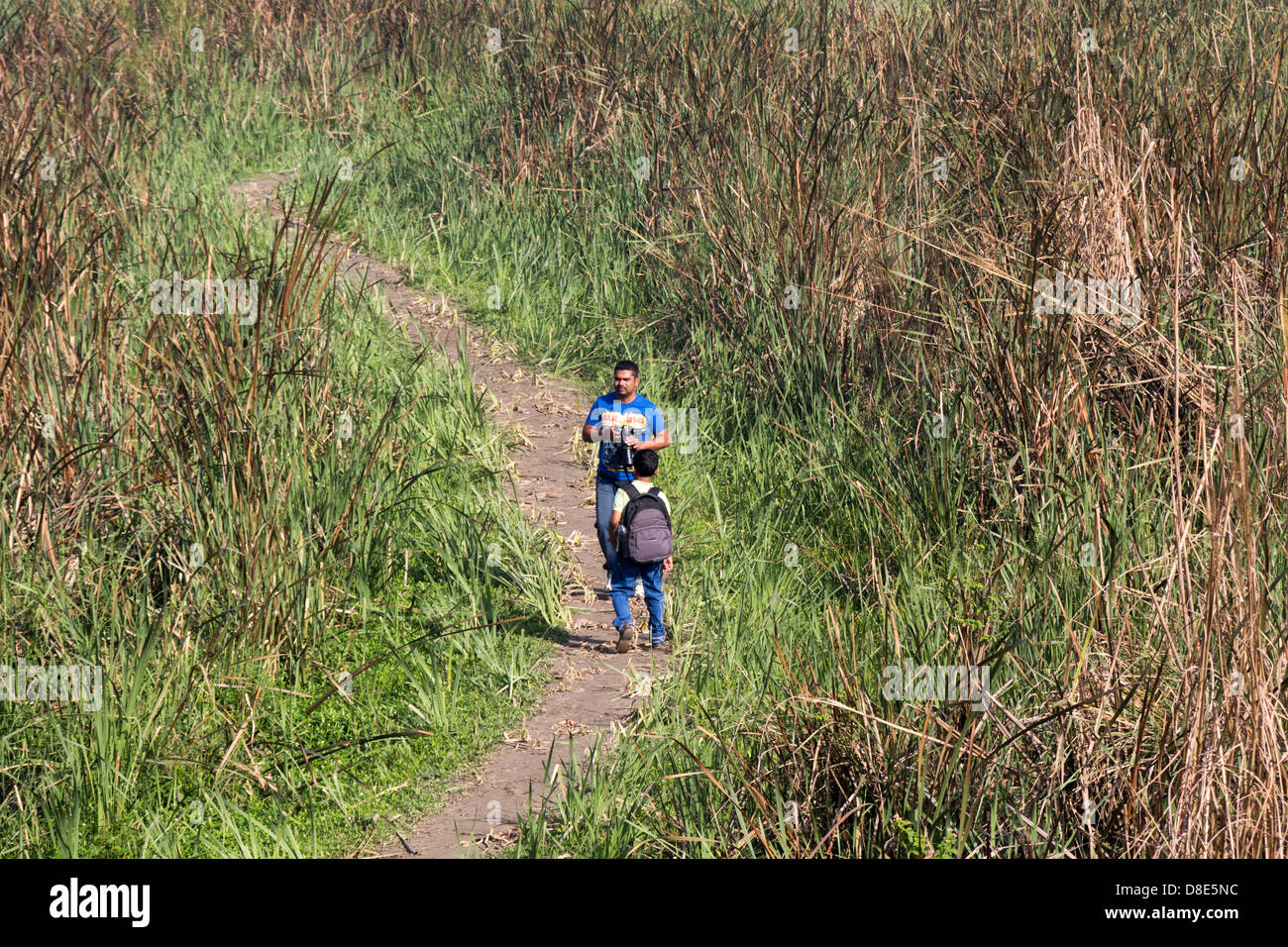 2 fotografi a piedi attraverso erba alta nel Okhla Bird Sanctuary in Noida in India, portando le telecamere con un teleobiettivo Foto Stock