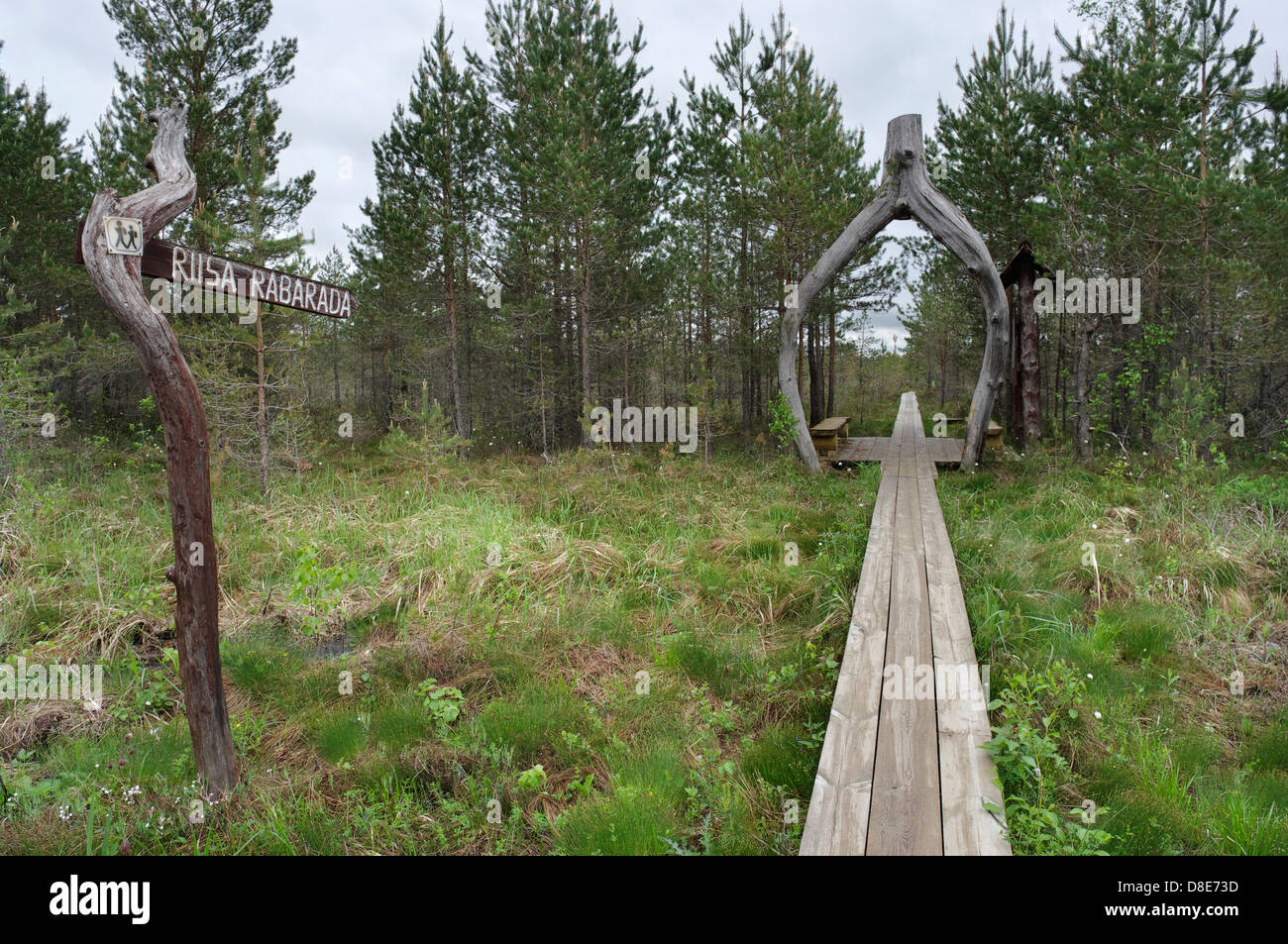 Riisa Sentiero escursionistico Soomaa National Park nel centro di Estonia Foto Stock
