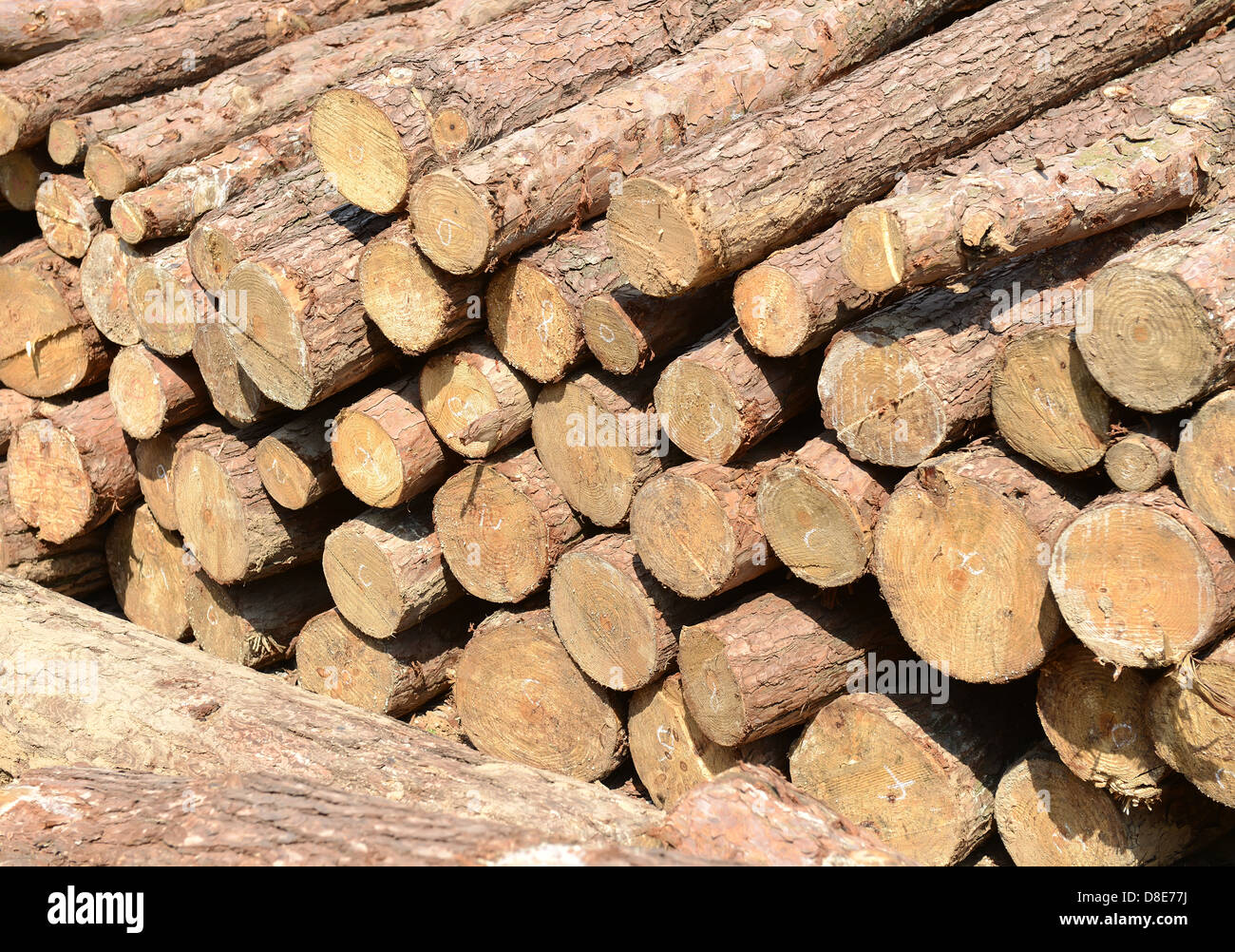 Mucchio di legno Foto Stock