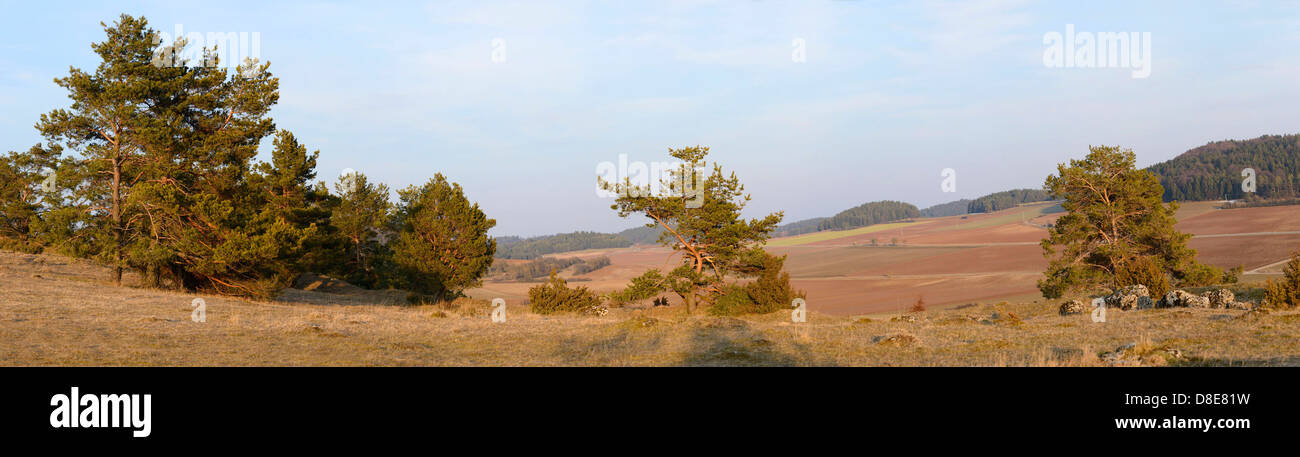 La natura del paesaggio in primavera, Baviera, Germania Foto Stock
