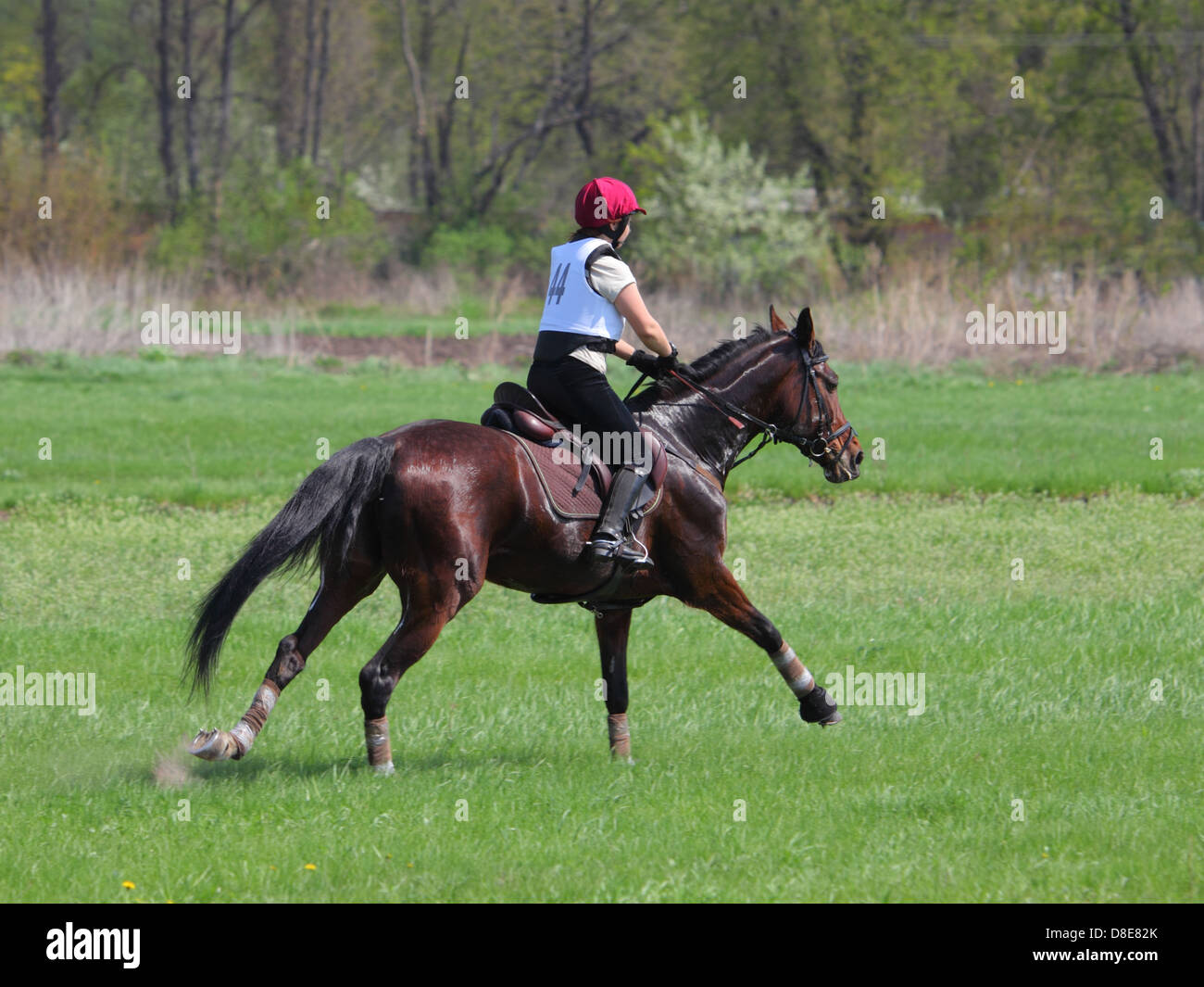 Cavallo e cavaliere sono a cavallo di un giorno 3-eventing, cross country Foto Stock