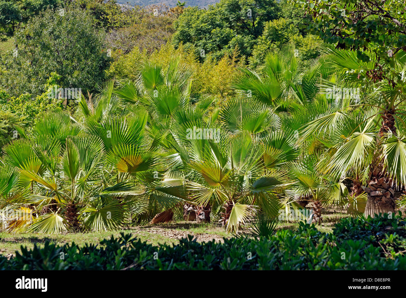 Giardini Parque de La Paloma, Benalmadena Andalusia, Spagna Foto Stock