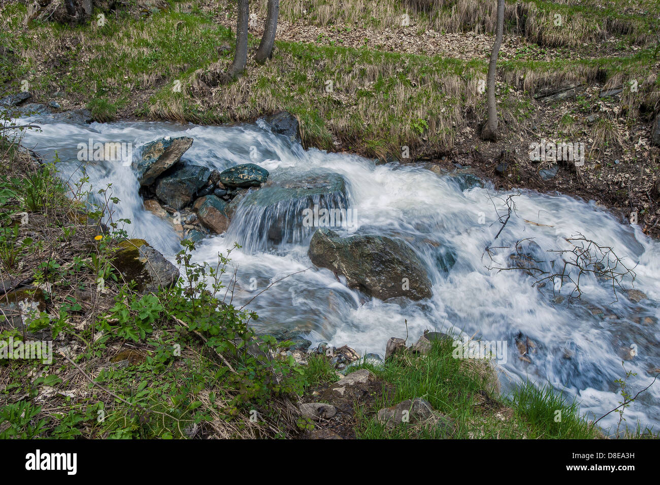 Europa Italia Provincia di Torino Piemonte Orsiera Rocciavriè Park Usseaux ruscello di montagna Foto Stock