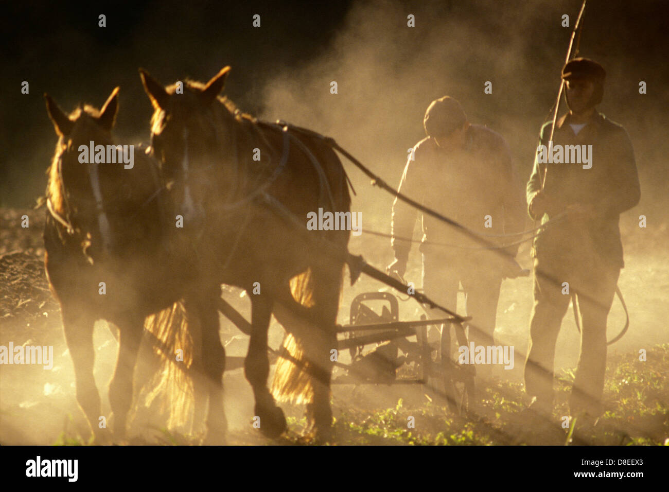 Immigrazione tedesca in Brasile del Sud piccoli proprietari terrieri arare il terreno nelle prime ore del mattino in inverno stato di Santa Catarina Foto Stock
