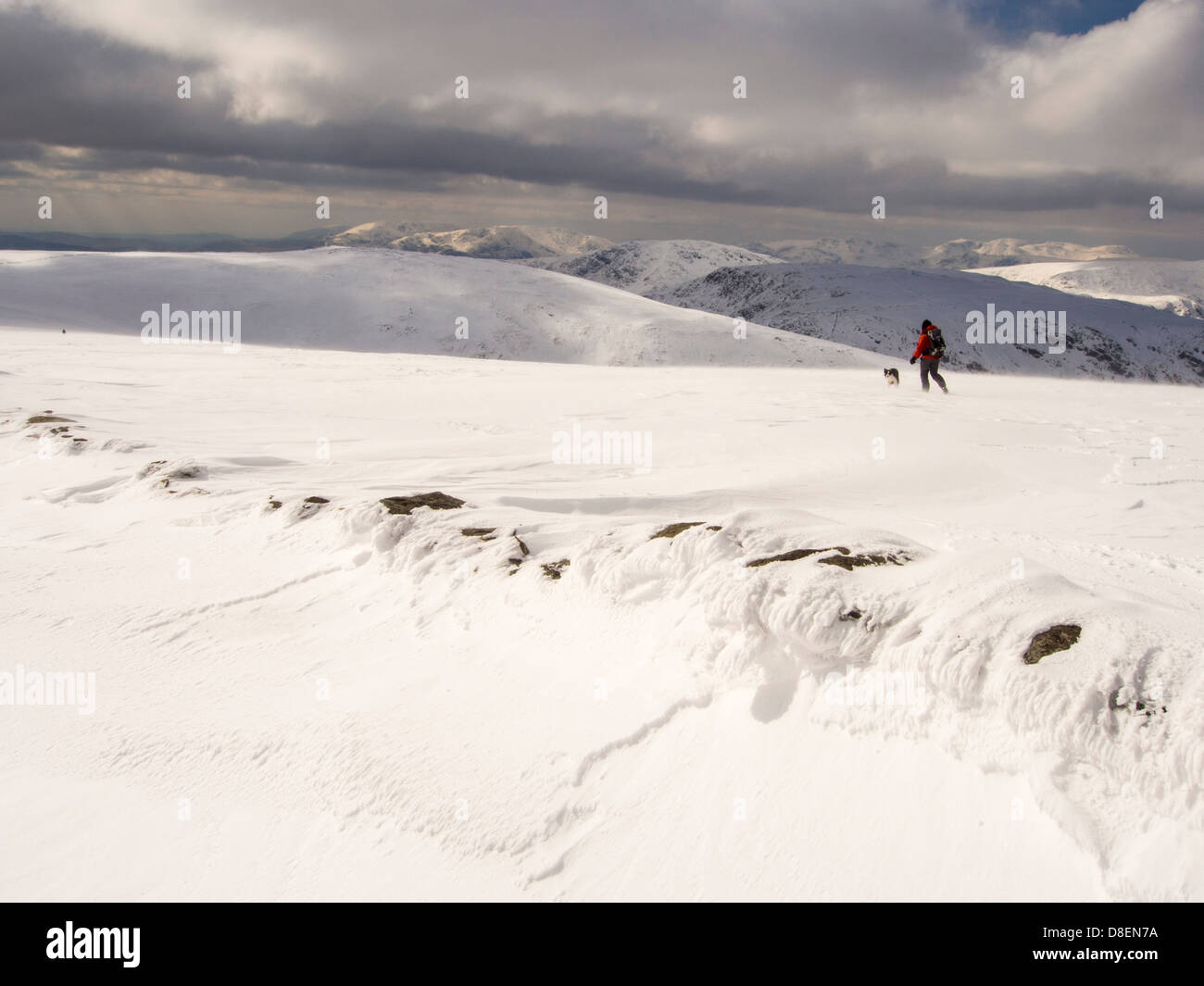 Un camminatore su High Street in unseasonally freddo a fine marzo 2013, Lake District, UK, con vento neve scolpita. Foto Stock