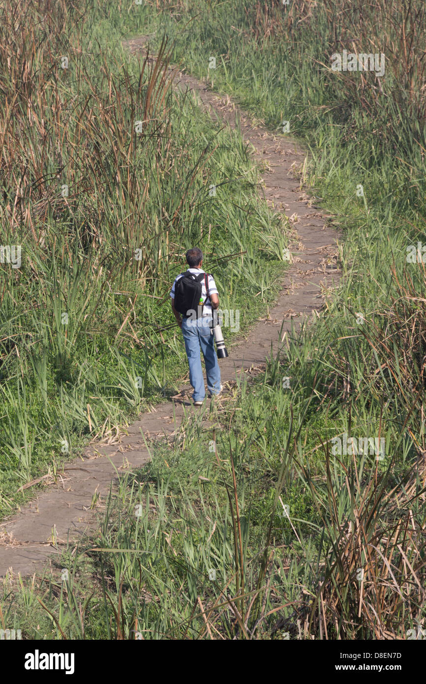 Uomo con fotocamera dentro Okhla Bird Sanctuary. Terreni paludosi su entrambi i lati del percorso, e l'uomo porta obiettivo con elevato fattore di zoom per gli uccelli Foto Stock