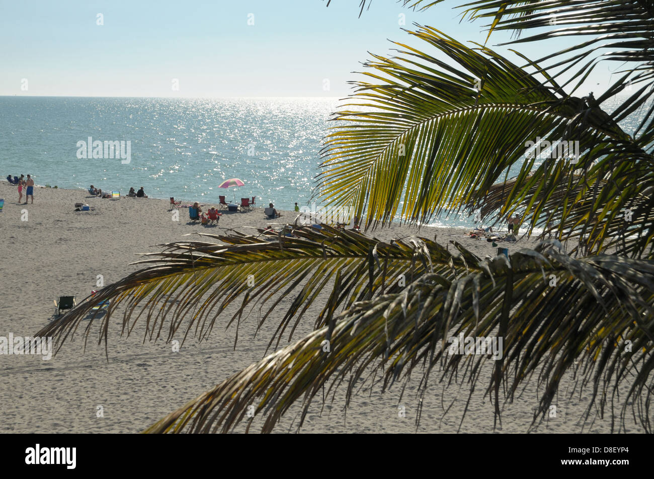 Gruppi di frequentatori di spiaggia rilassatevi sulla spiaggia di Venice, in Florida. Foto Stock