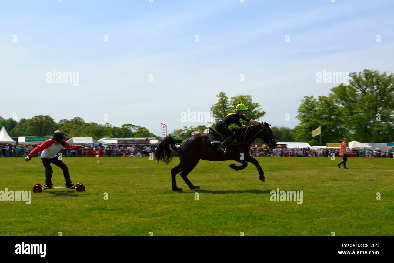 Pensione cavalli sport estremo la concorrenza al gioco e Country Fair 26 maggio 2013, Burghley House, Stamford, Lincolnshire, Inghilterra Foto Stock