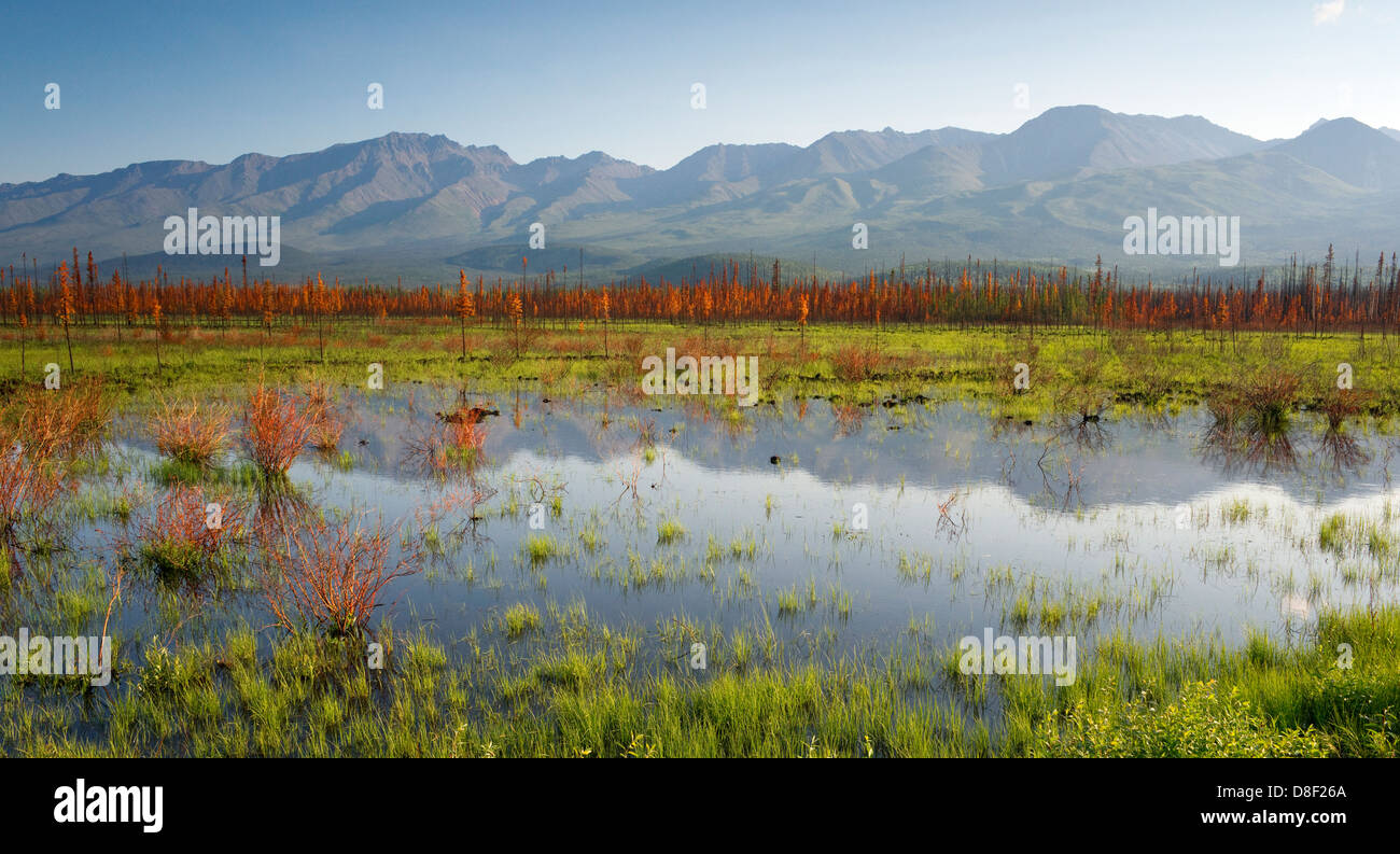 Un tarn o lago appena fuori la Highway 2 riflette l'Alaska paesaggio di montagna Foto Stock
